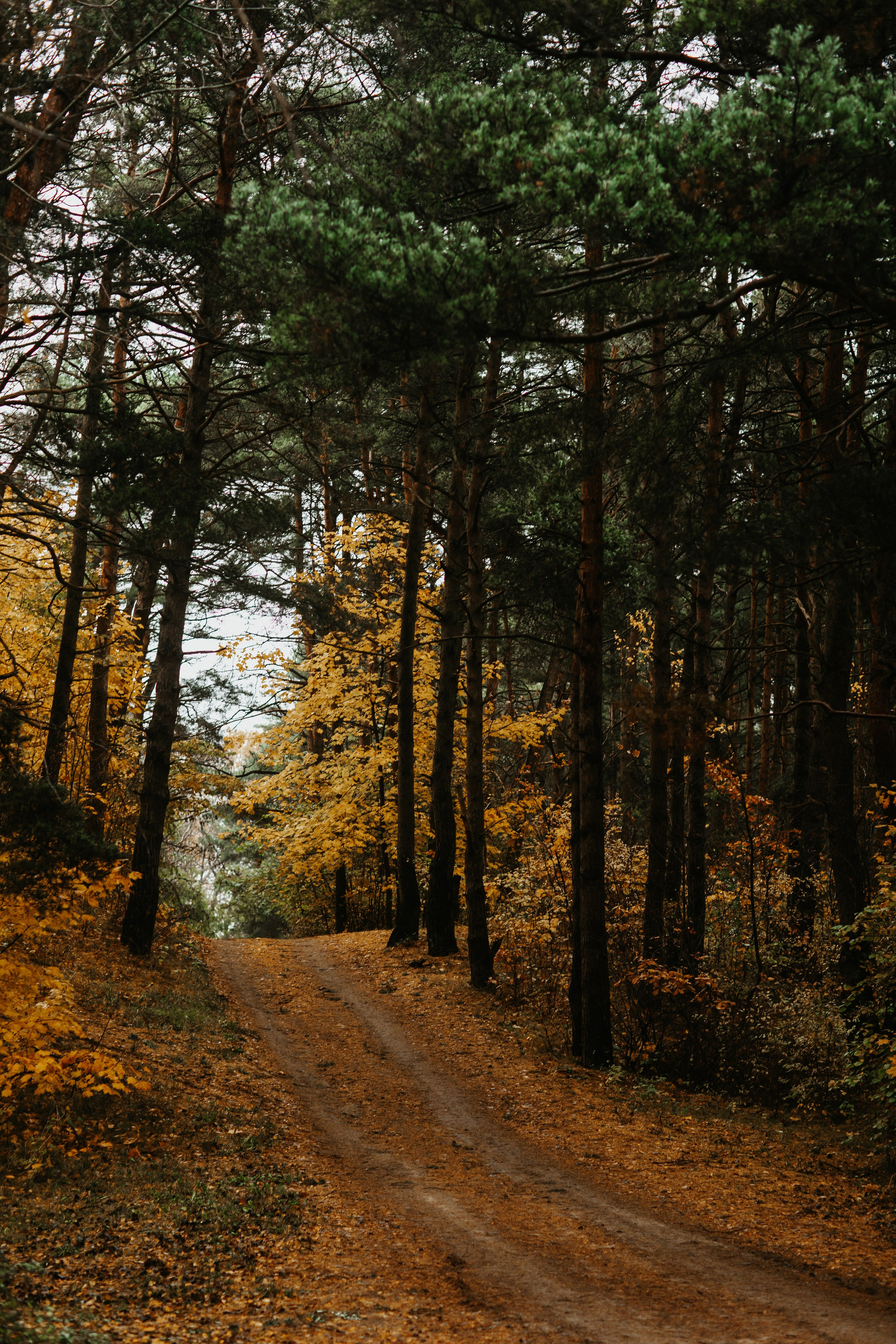 Фотосессия в Балтийске. Https://malovafoto.ru