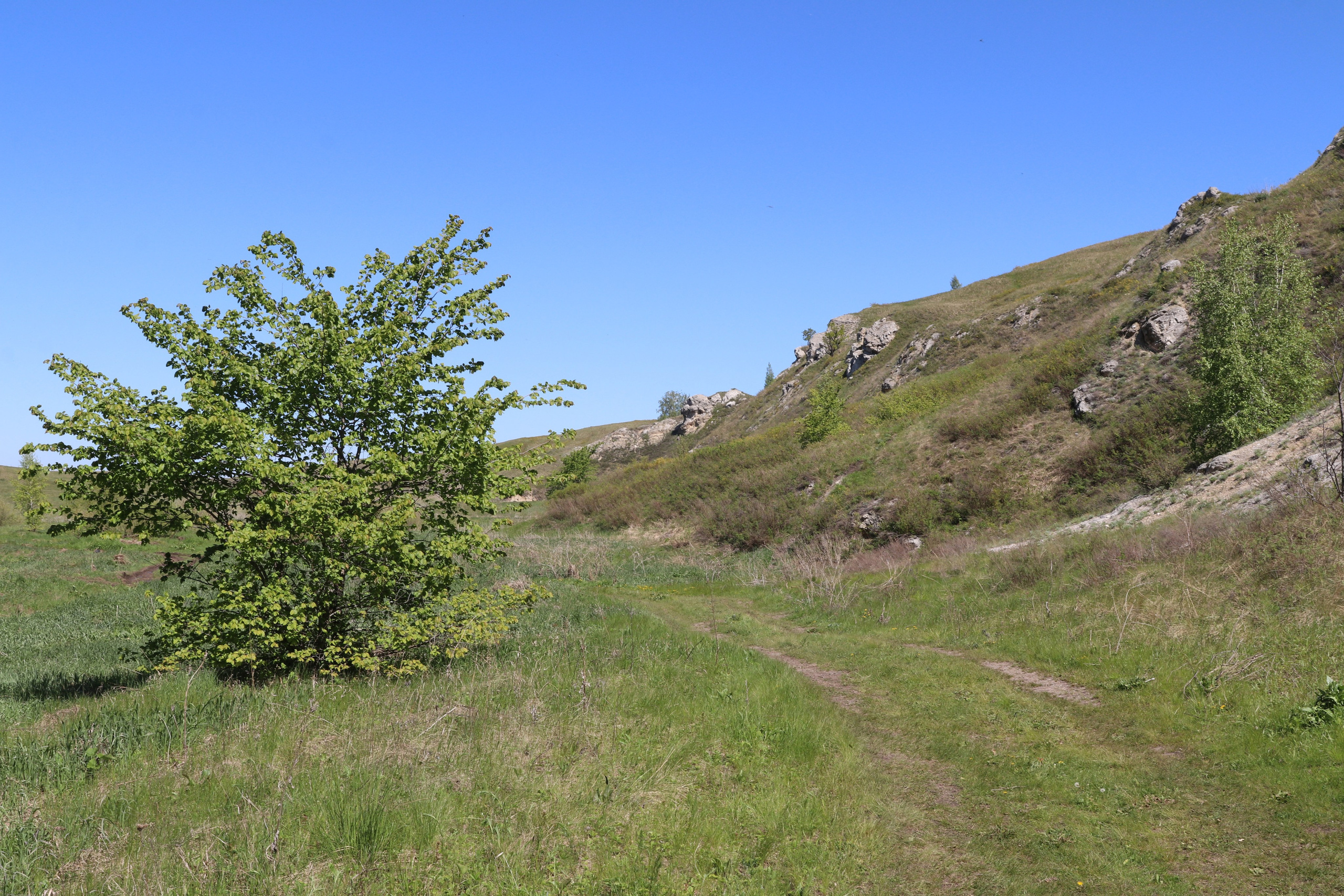 Велопоход Уфа — Мелеуз. Май 2024. Путешественник-фотограф из Санкт-Петербурга Татьяна Свистулина