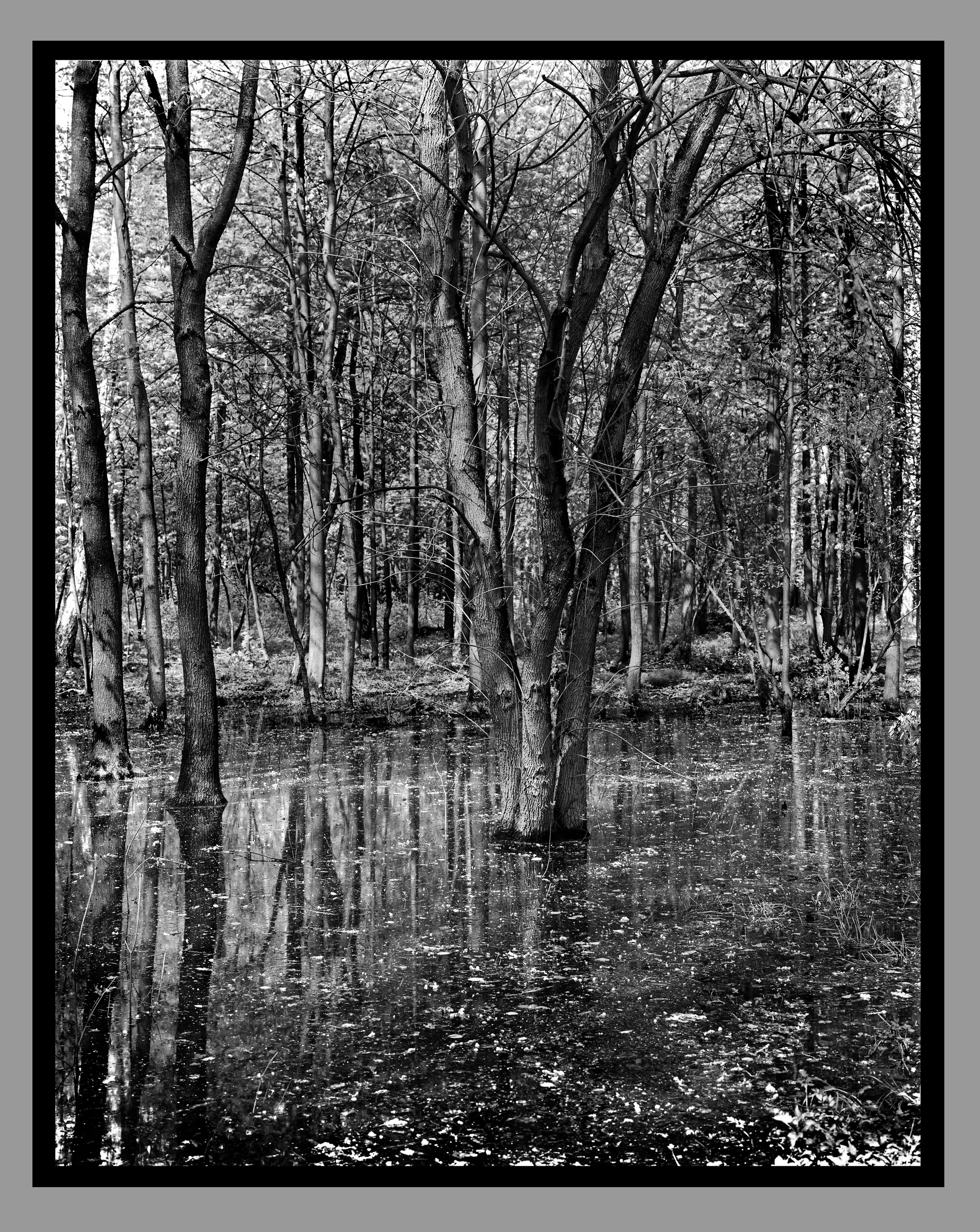 Author’s photo works in the ambrotype technique! Analog photography. Sergey Kondriuk art-photographer | artist