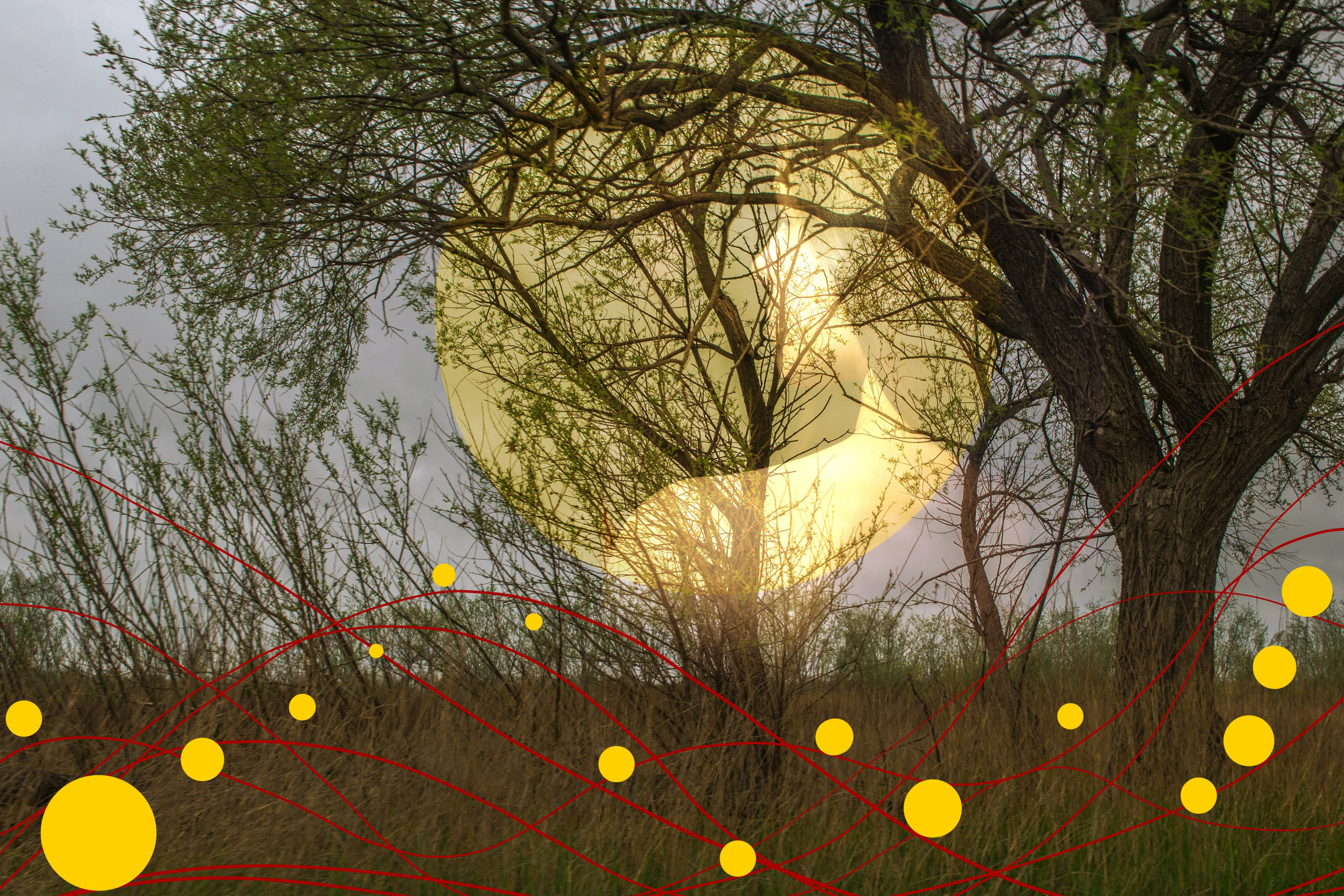 коллаж, дракон. мистер бо, art, artist, collage, женщина, идеальная женщина, women