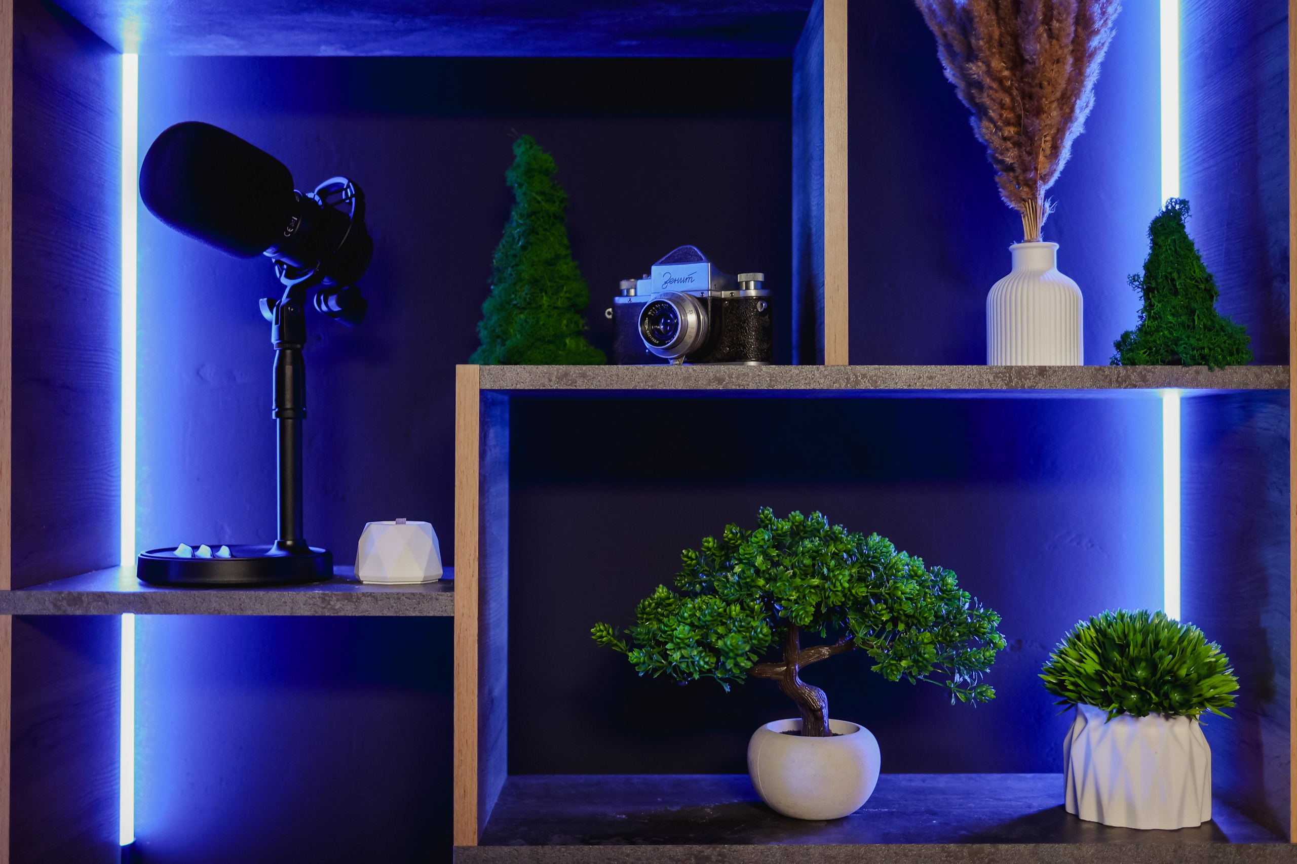 BLACK. Подкасты и прямые эфиры Сочи