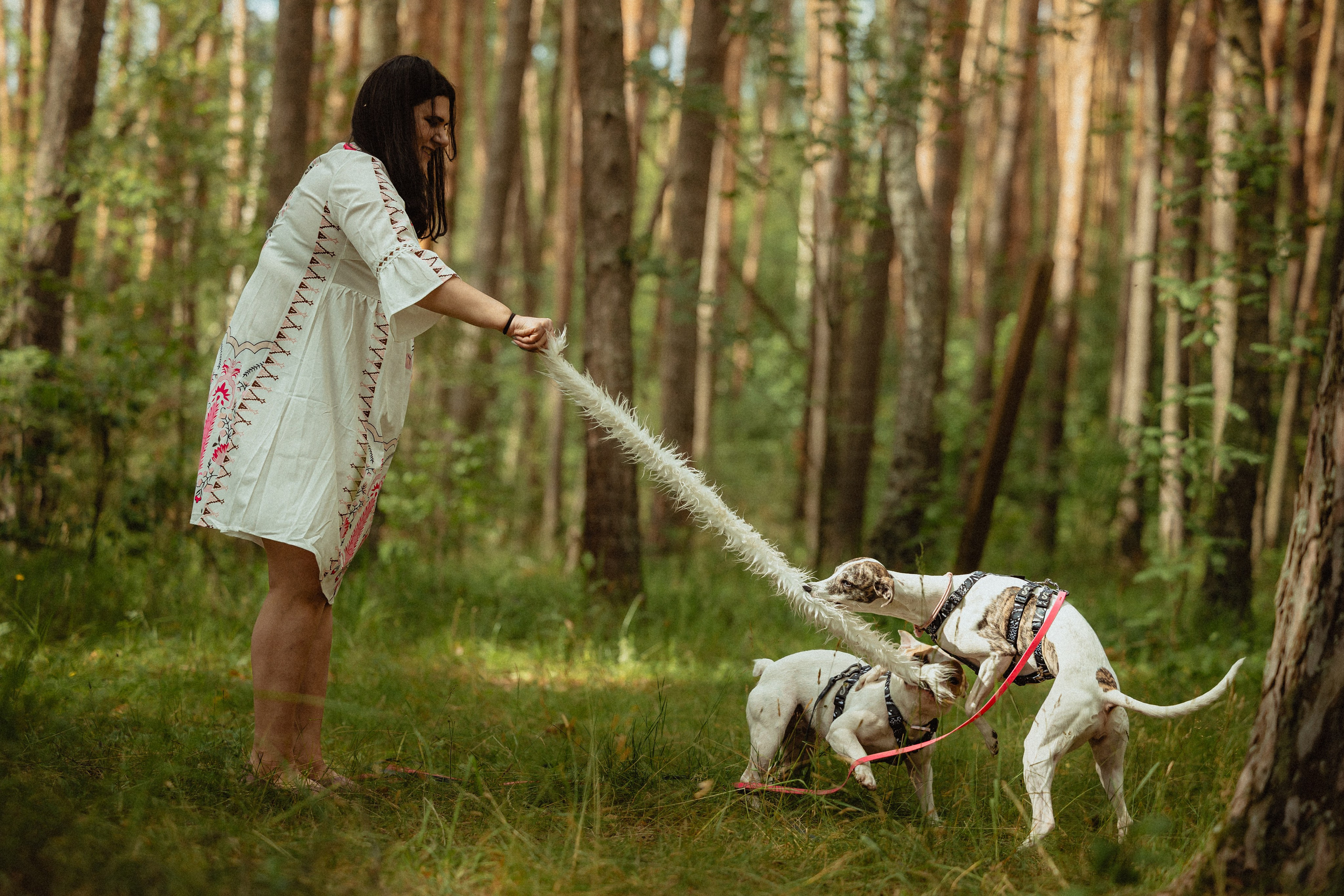 Выездной дог-тренинг от школы «Шерсть имею»