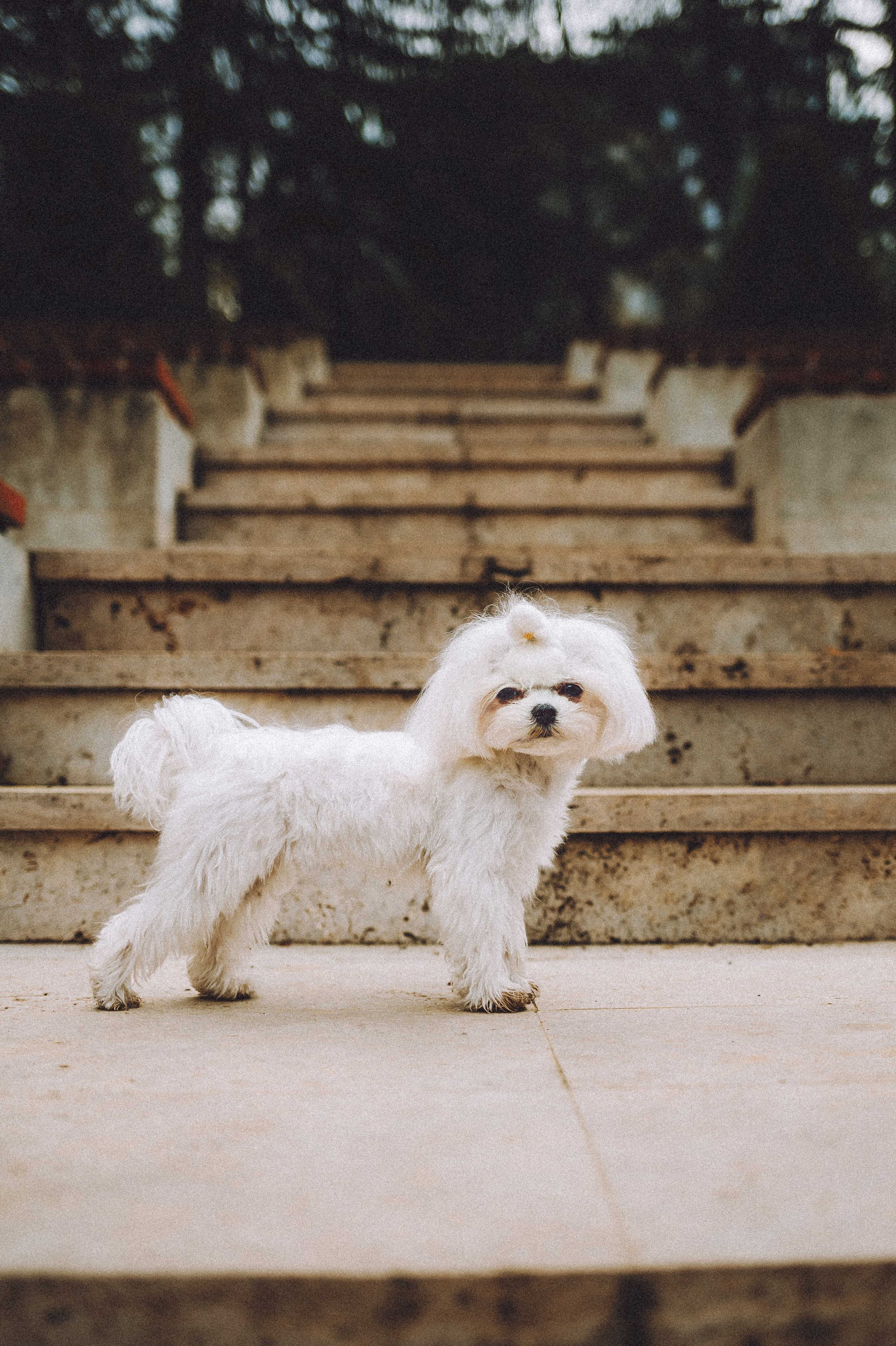 Настя и Гоша