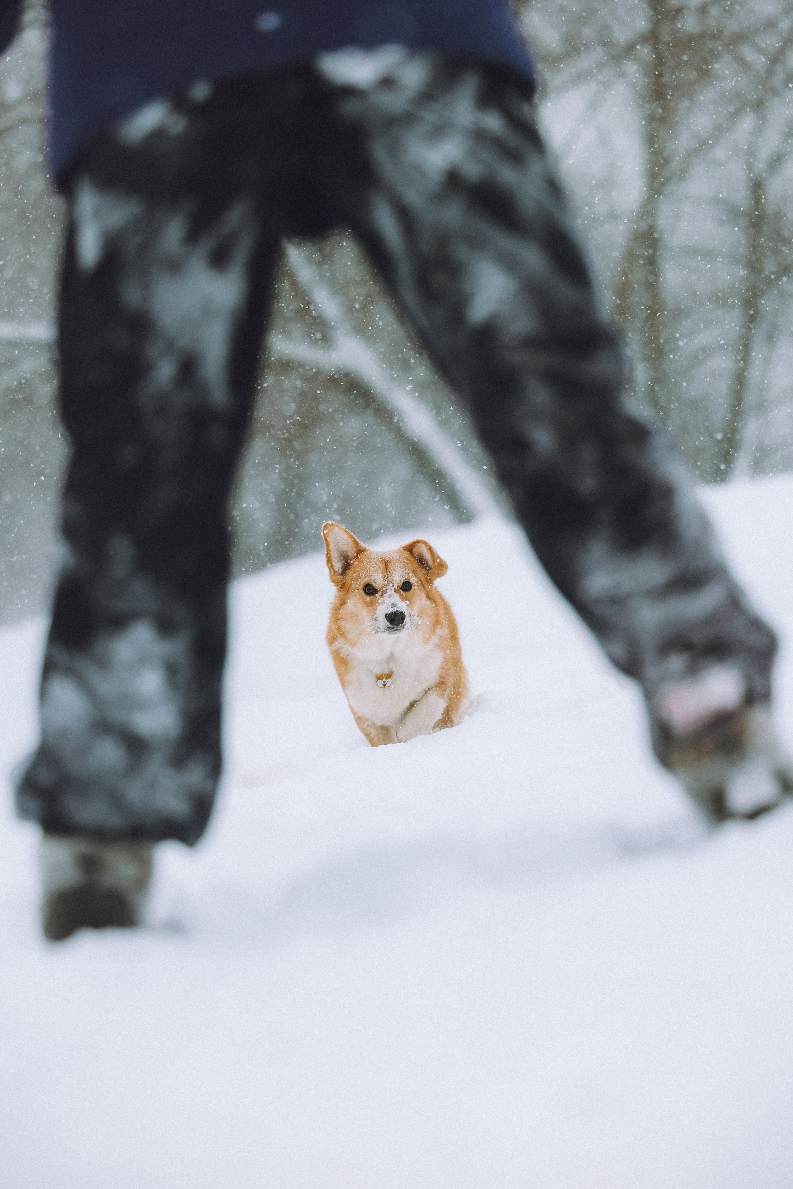 Юля и Юпитер