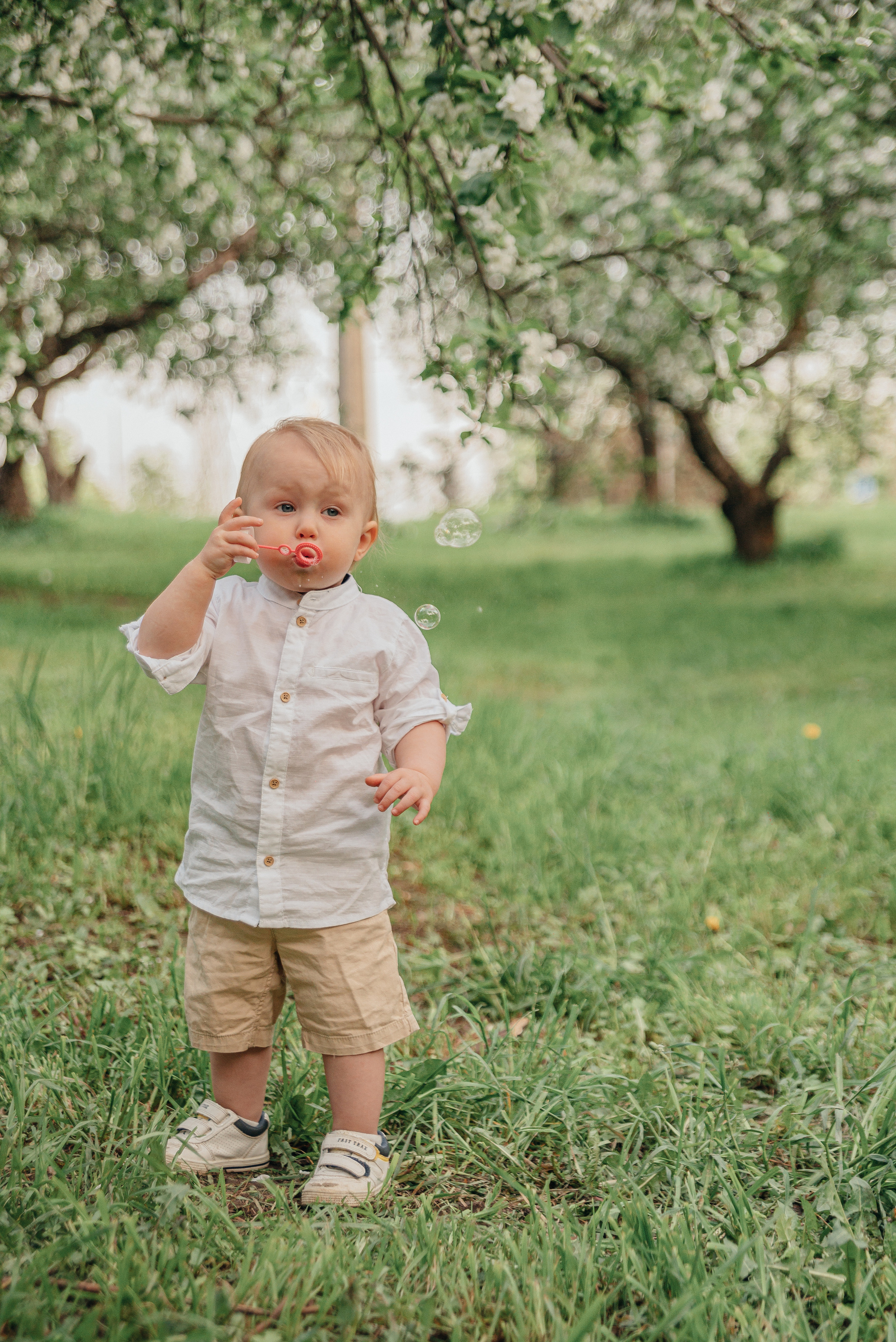 Семейная фотосессия в цветущих садах. Фотограф Москва