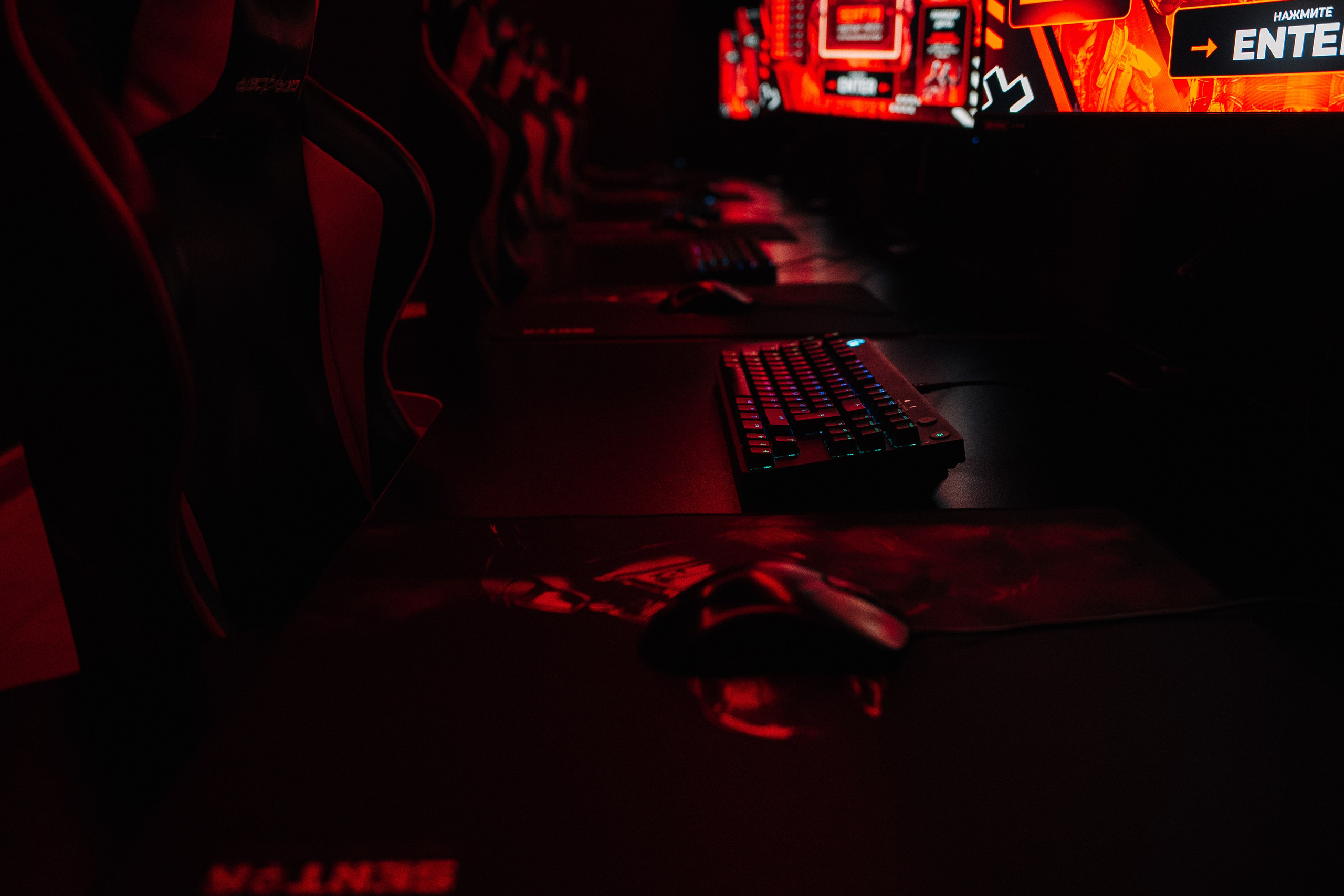 SEKTOR. Фотограф в Хабаровске Швендых Рудольф