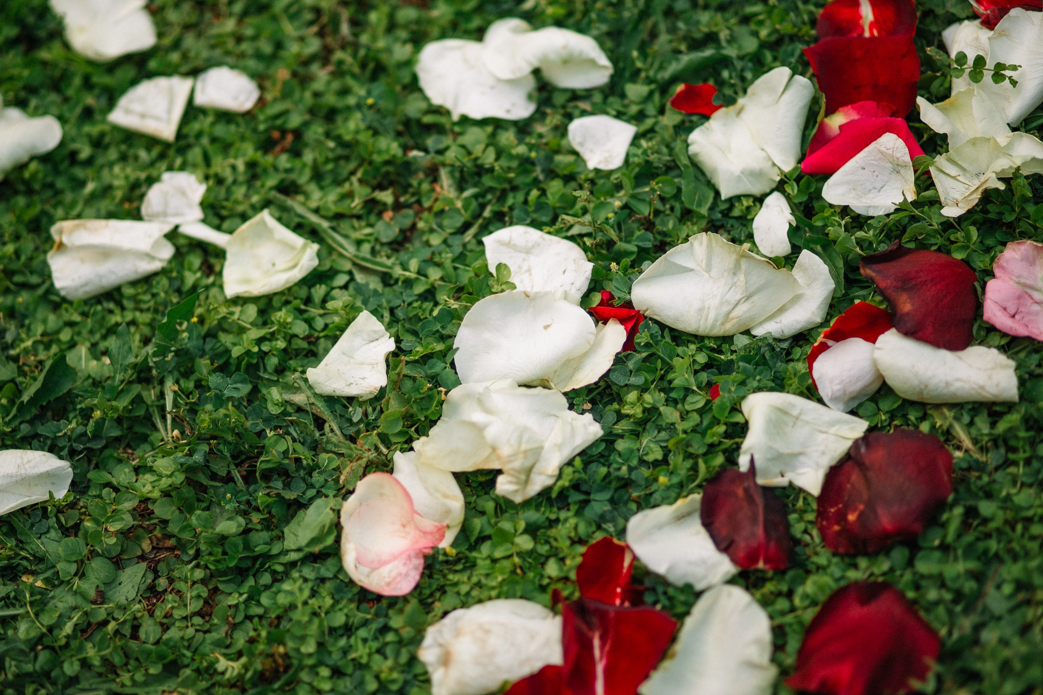 Любовь в ландшафтах: свадебная фотосессия на природе. Семейный и свадебный фотограф Ростове-на-Дону