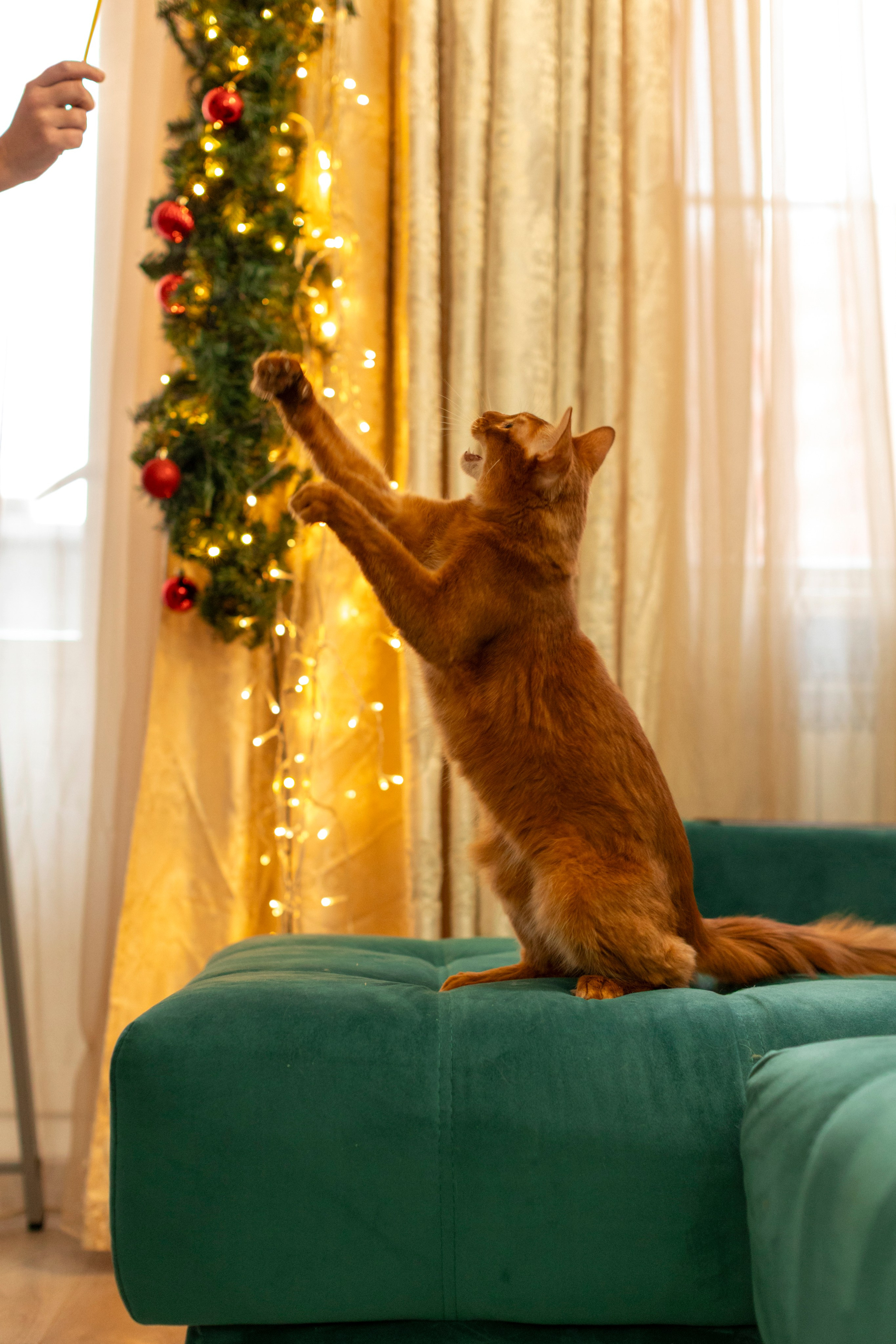 Сомали. Art my Pho