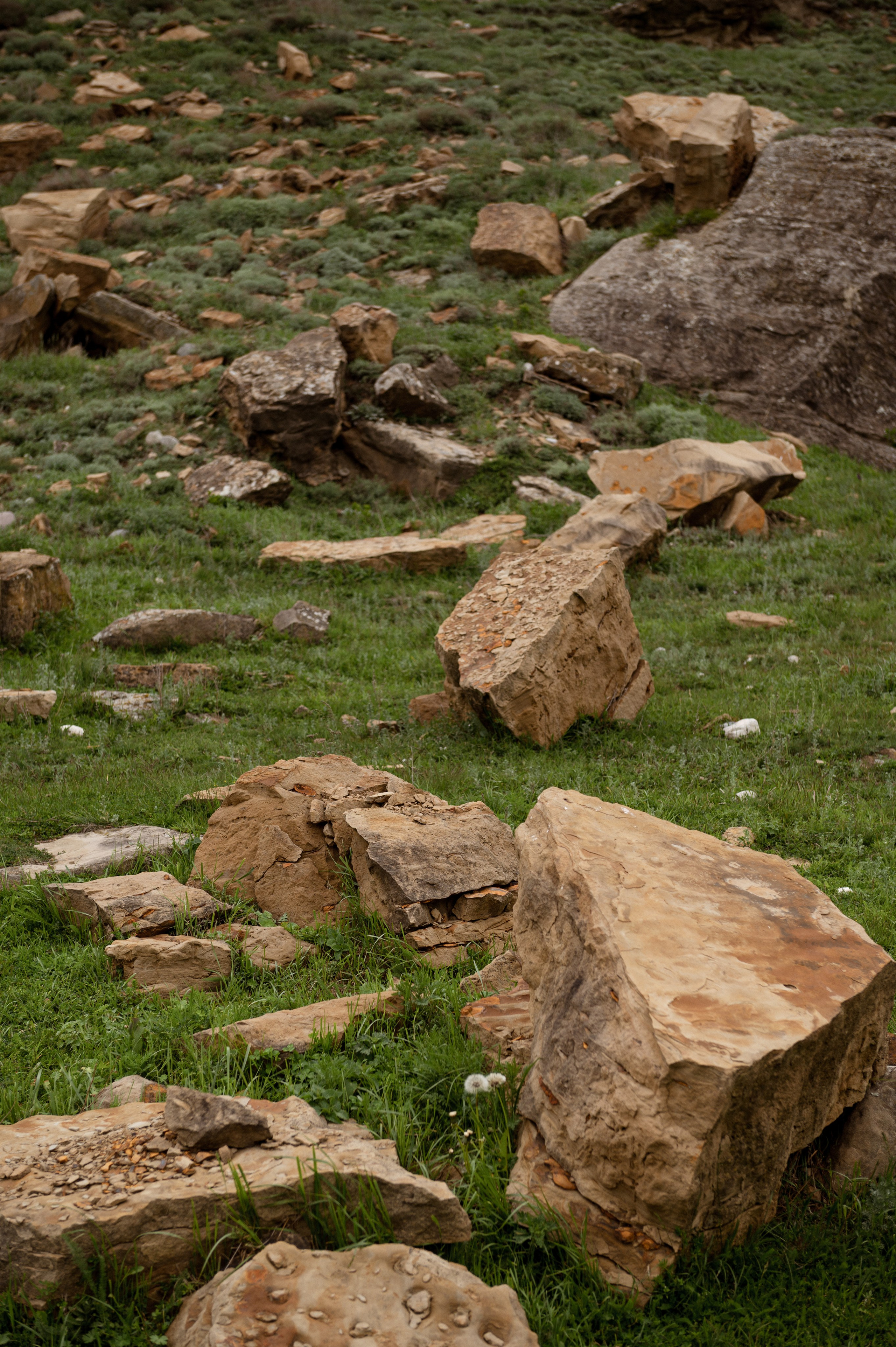 Горы. Свадебный фотограф в Санкт-Петербурге, Москве, СПб Сергей Поддубный