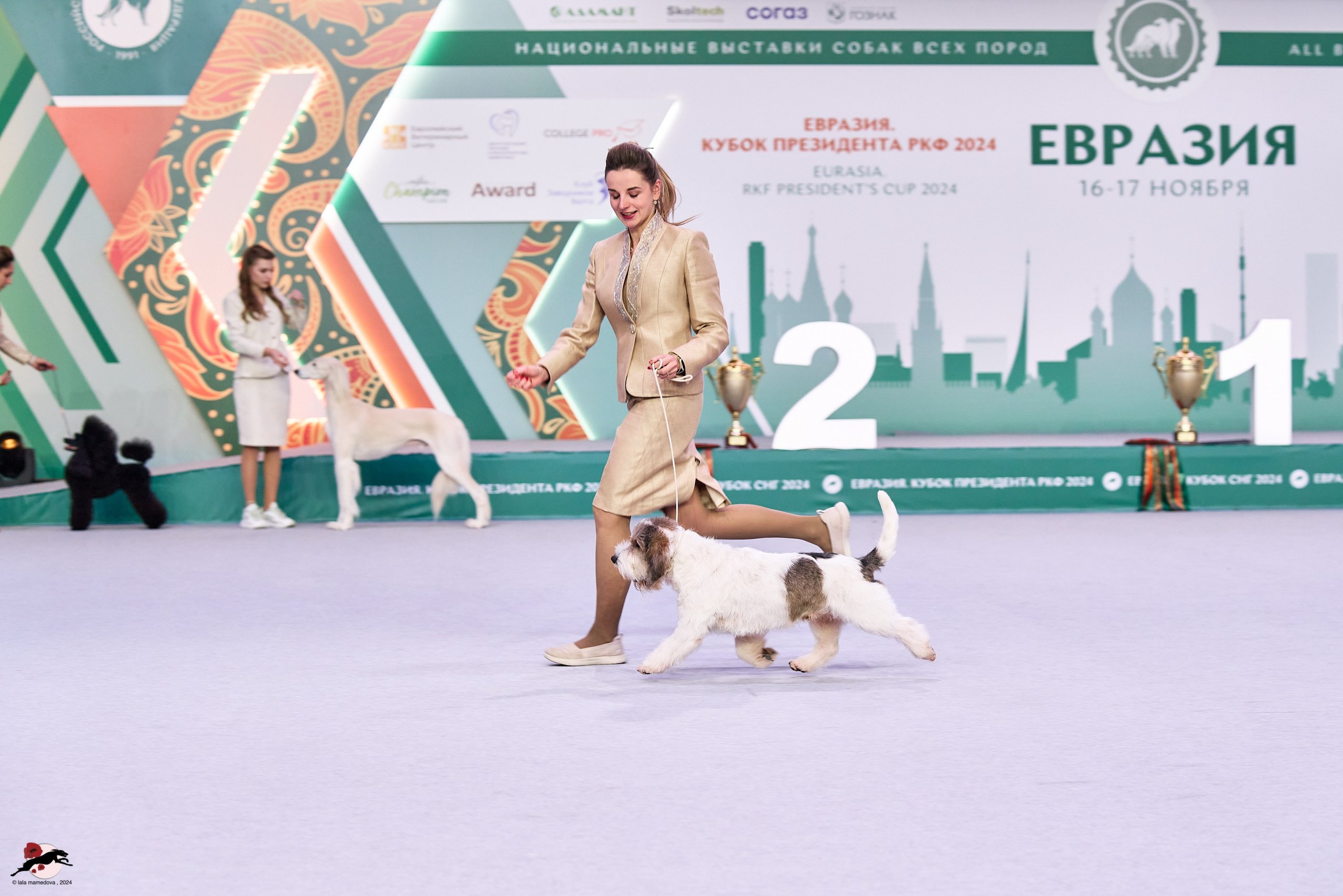 17.11.2024 «ЕВРАЗИЯ. КУБОК СНГ 2024»