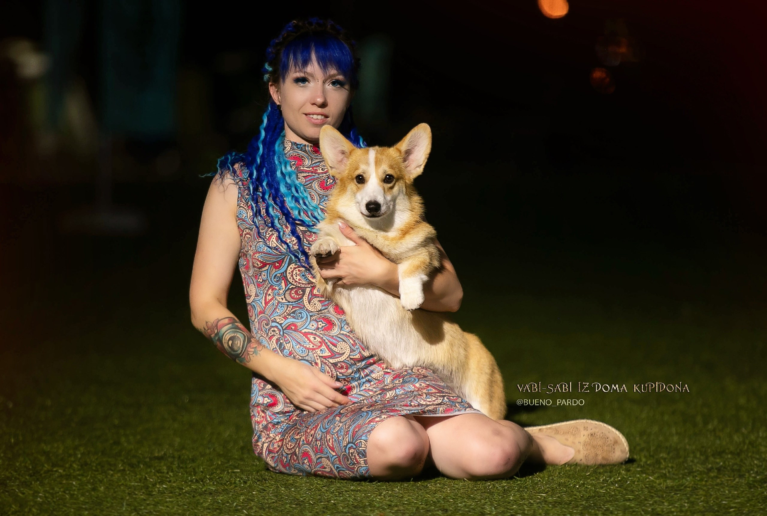 Щенки вельш корги пемброк из питомника. Питомник собак Акита, Хаски, Корги