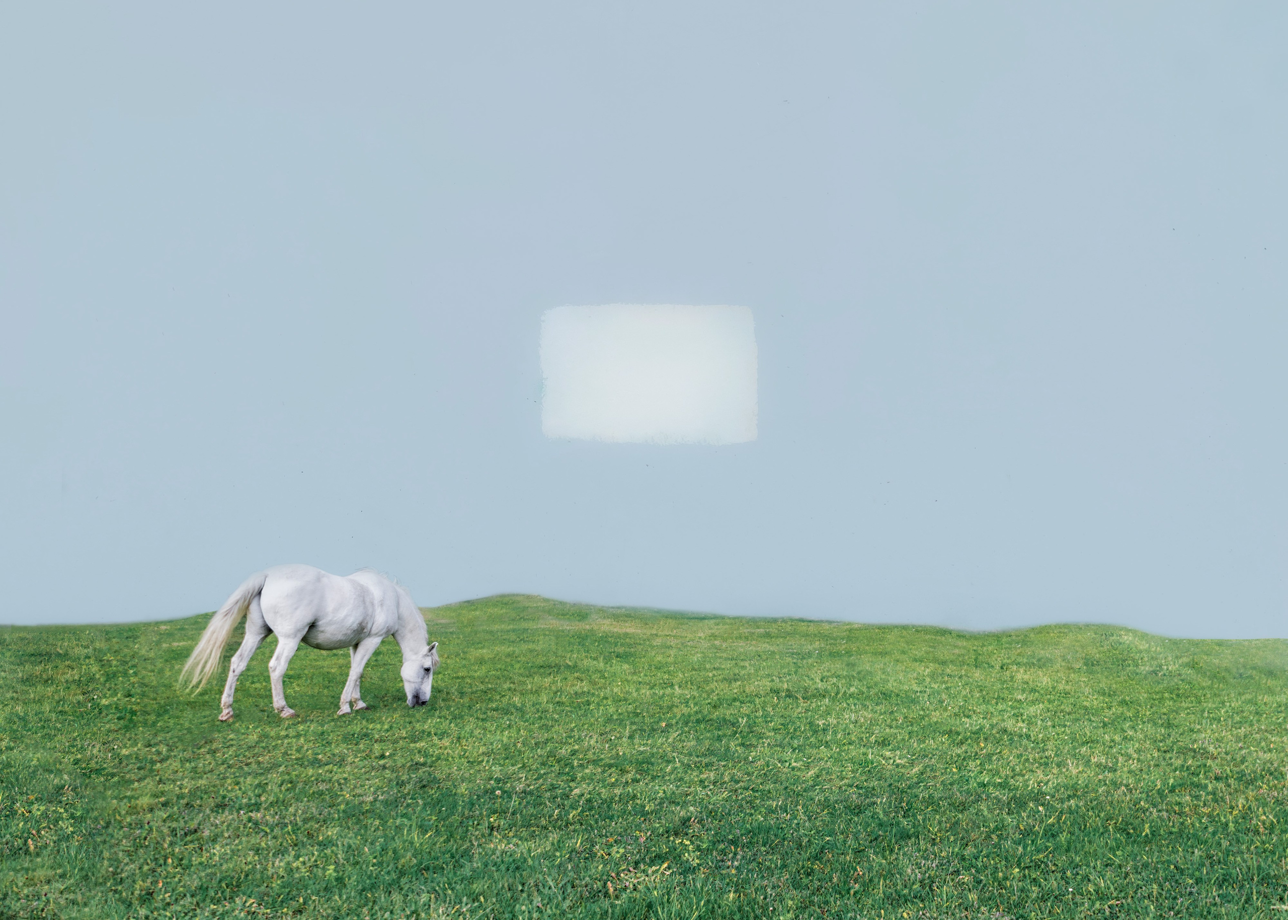 Архив (2021-2025). Liudmila Bogdanova Photography | Mila Dozhd