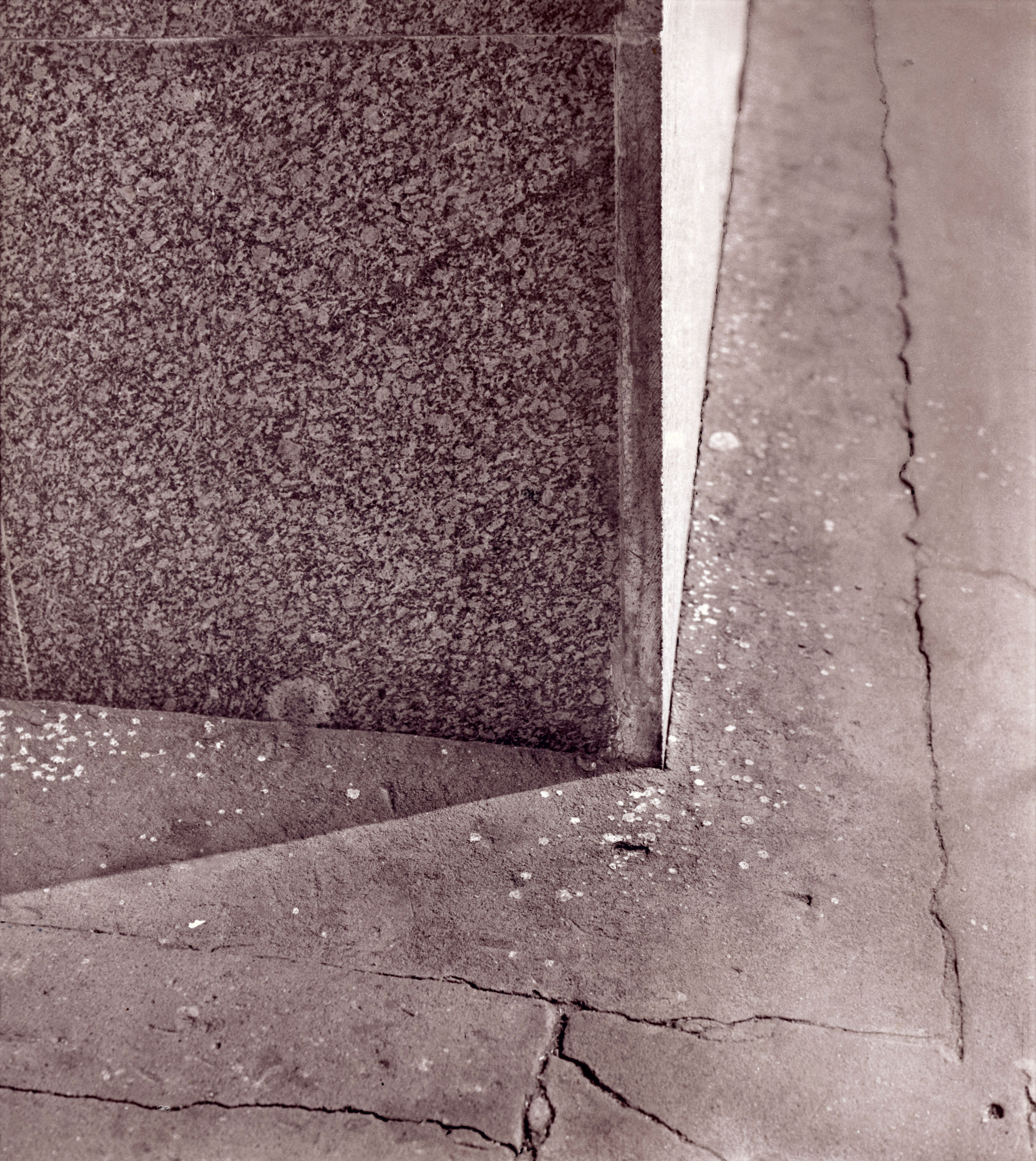 Sepia. Gueorgui Pinkhassov