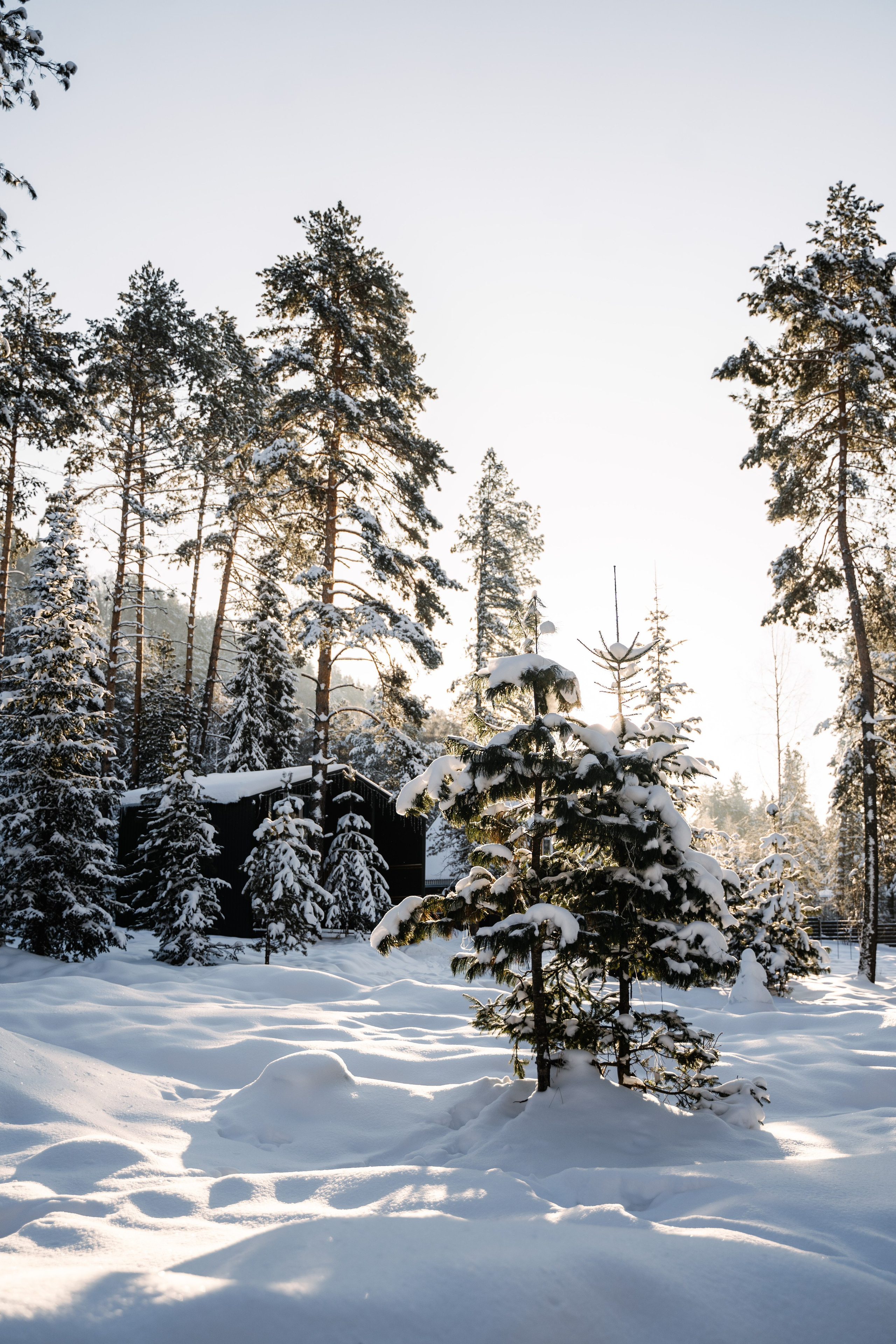 Релекс ТЕЛЕЦКОЕ. Фотограф Ольга Пучкова