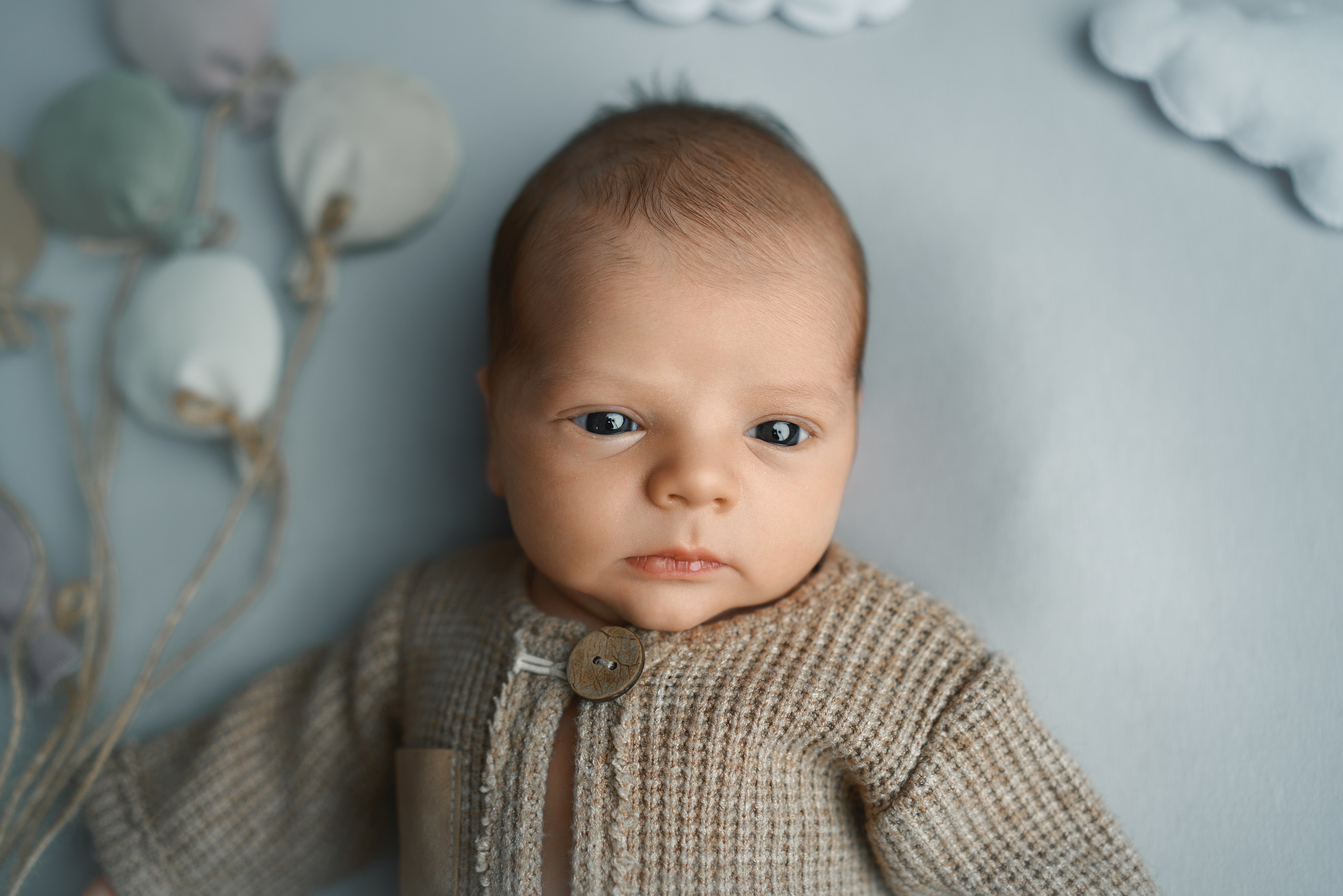 Давид. Фотограф новорожденных во Владивостоке Ромашко Виктория