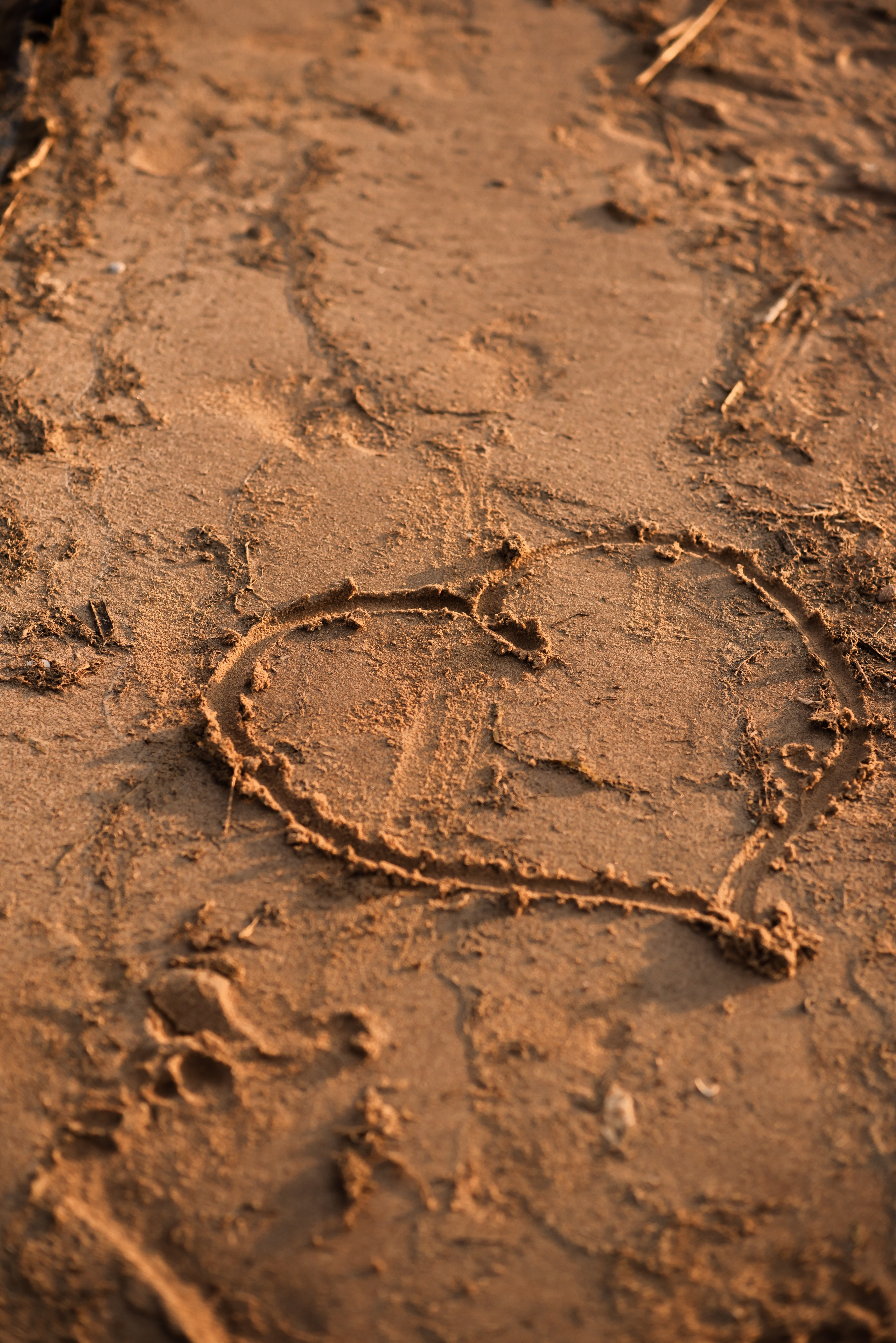 Единение. Главная