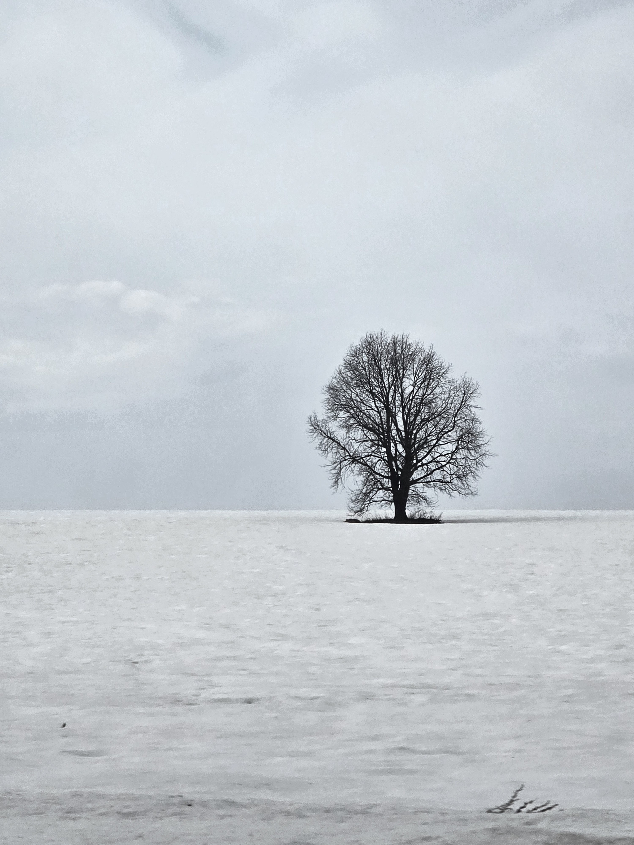Уличные кадры. Фотограф в Ижевске Мария Романова