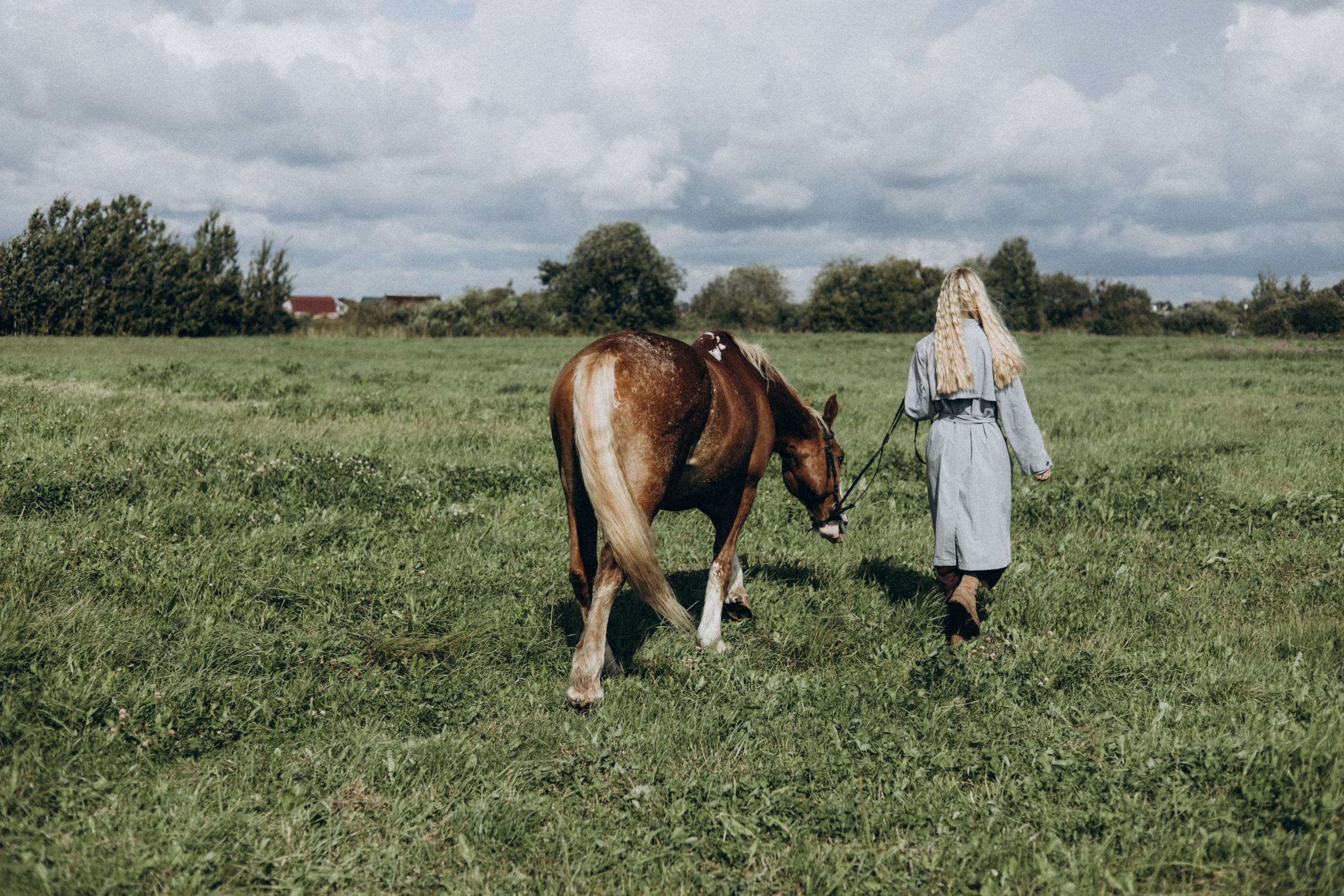 История любви девушки и лошади. Главная