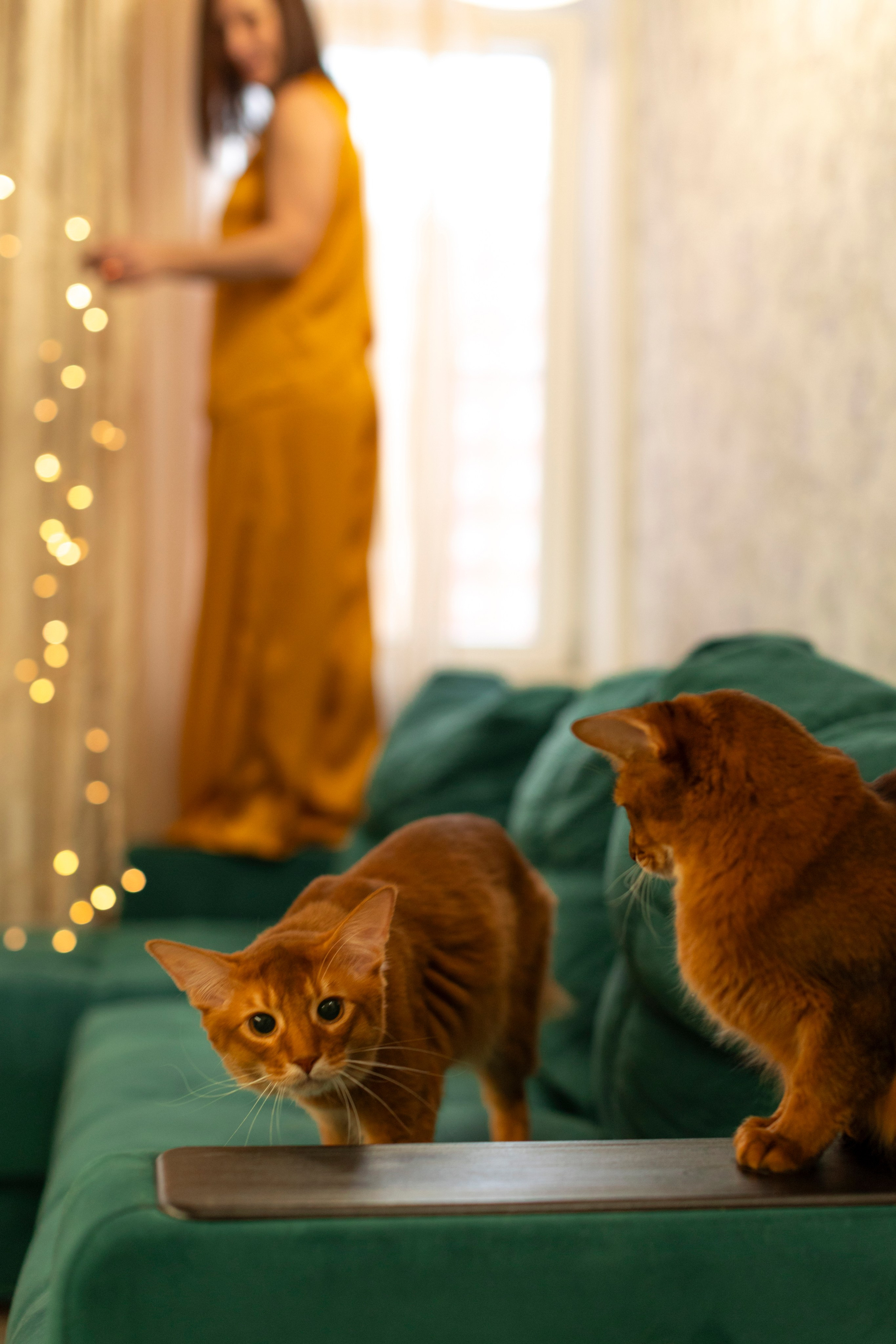 Сомали. Art my Pho