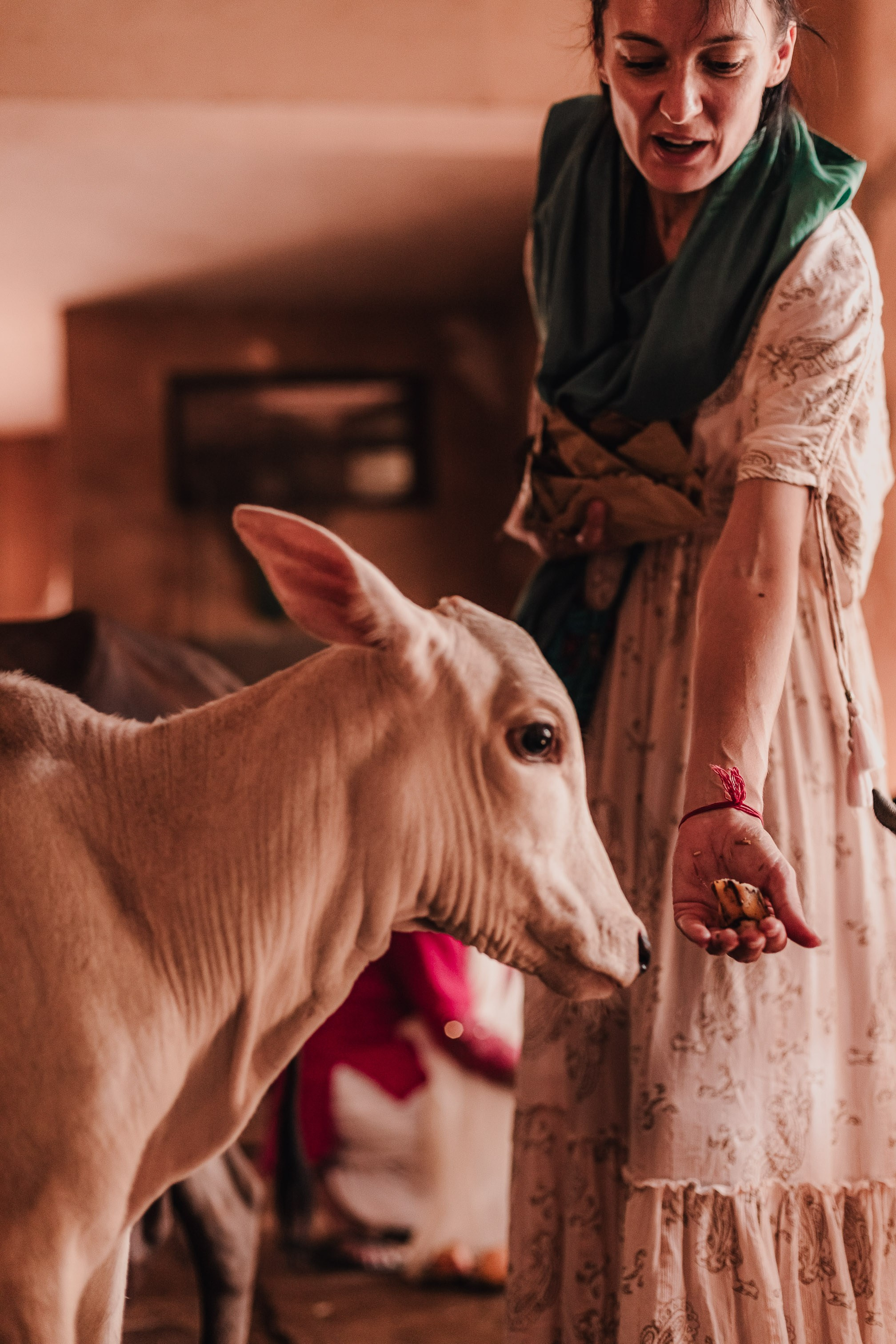 Devraha Baba Ji Ashram in Vrindavan. Мариам Багдасарян