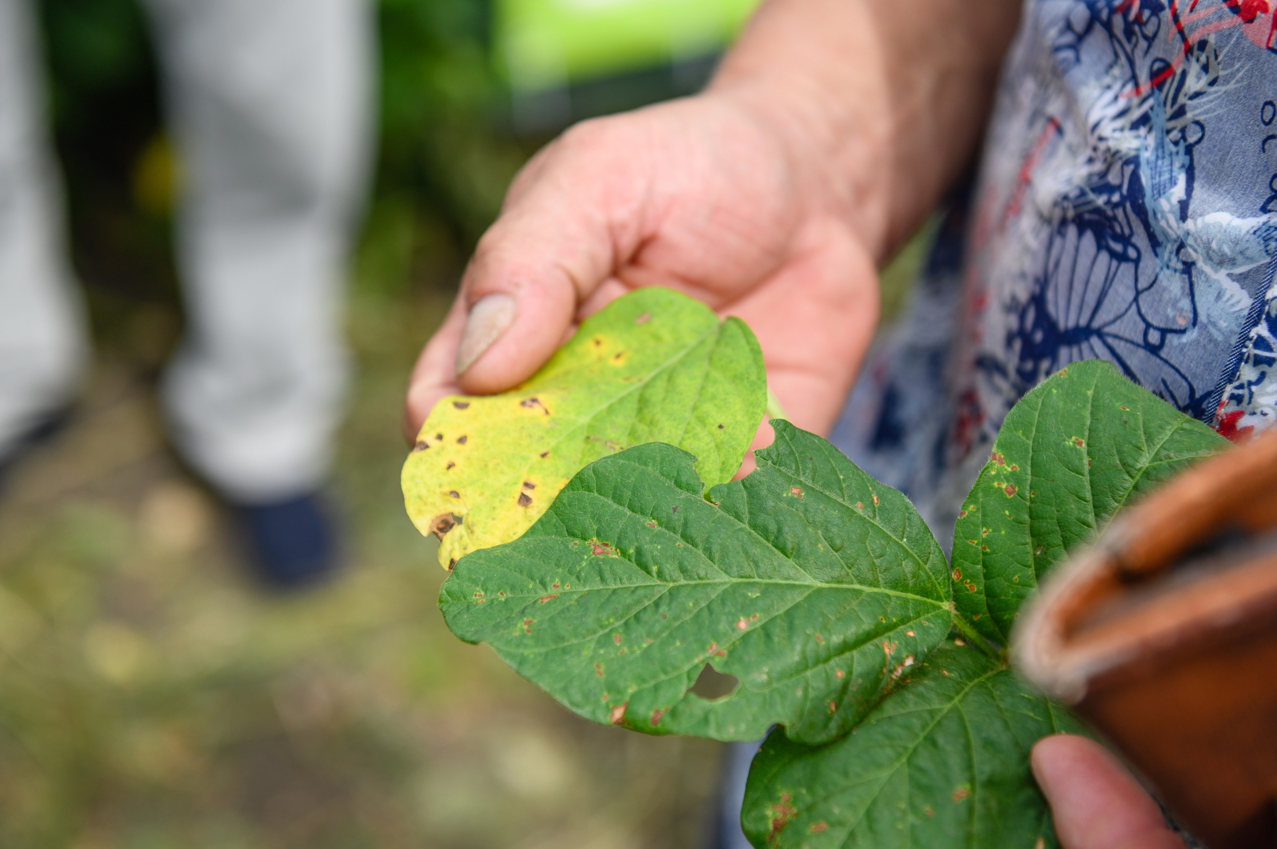 Проекты. Профессиональный фотограф Вячеслав Плацында | Липецк |