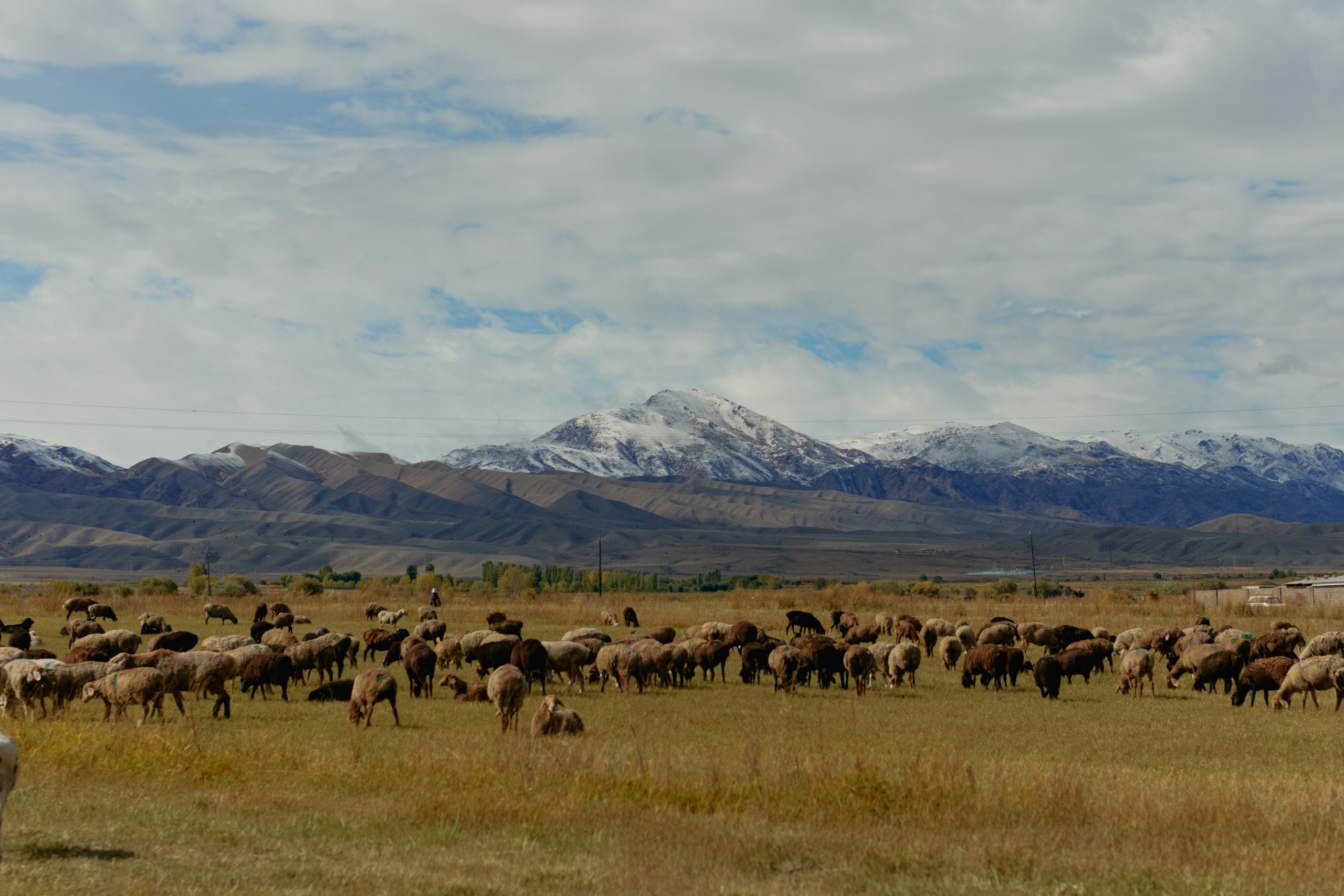 Кыргызтан. Профессиональный Фотограф во Владимире, в Москве и в Суздале — Полина Романычева