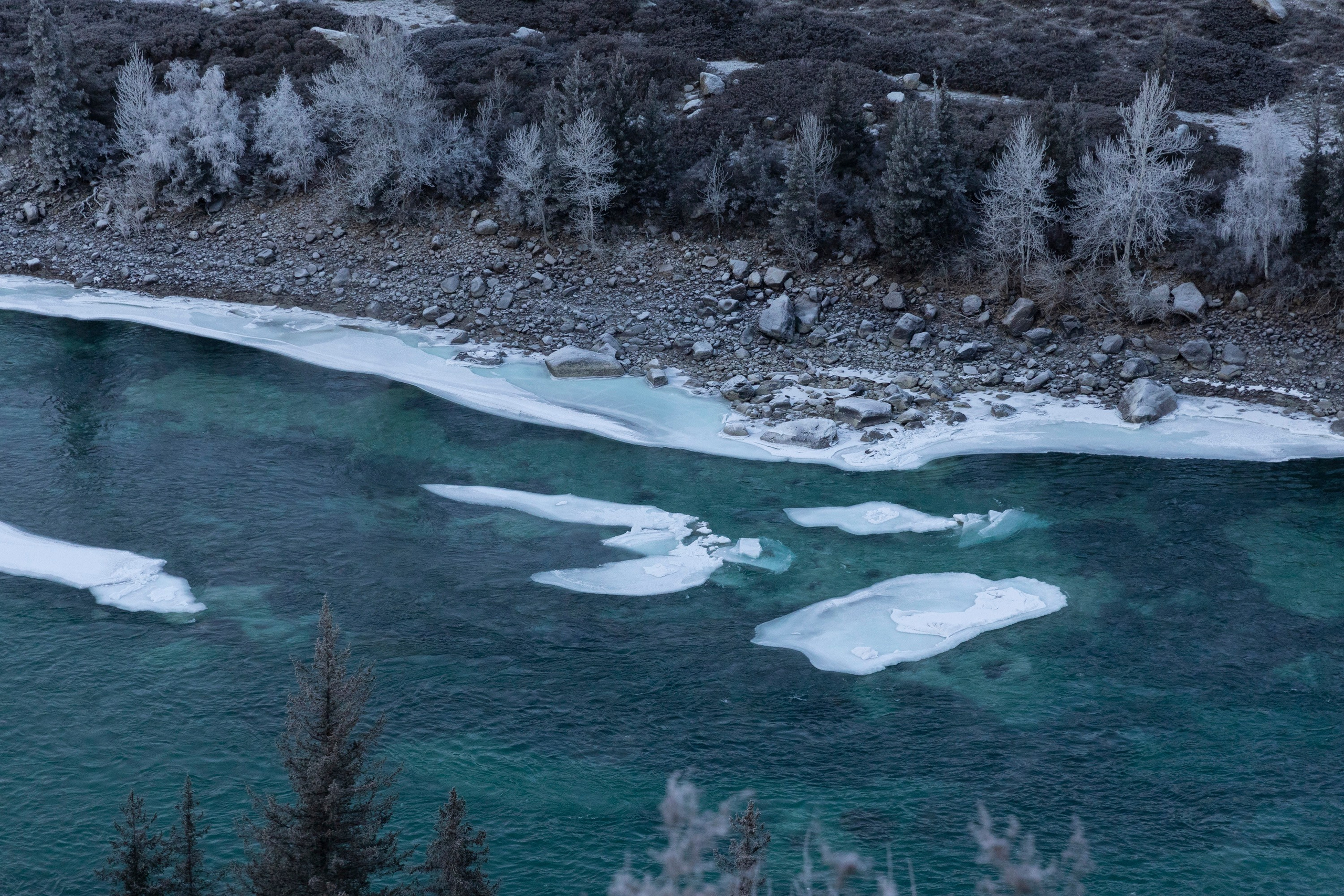 Алтай в декабре. Марина Захарова — Фотограф. Москва / Marina Zakharova — Photographer