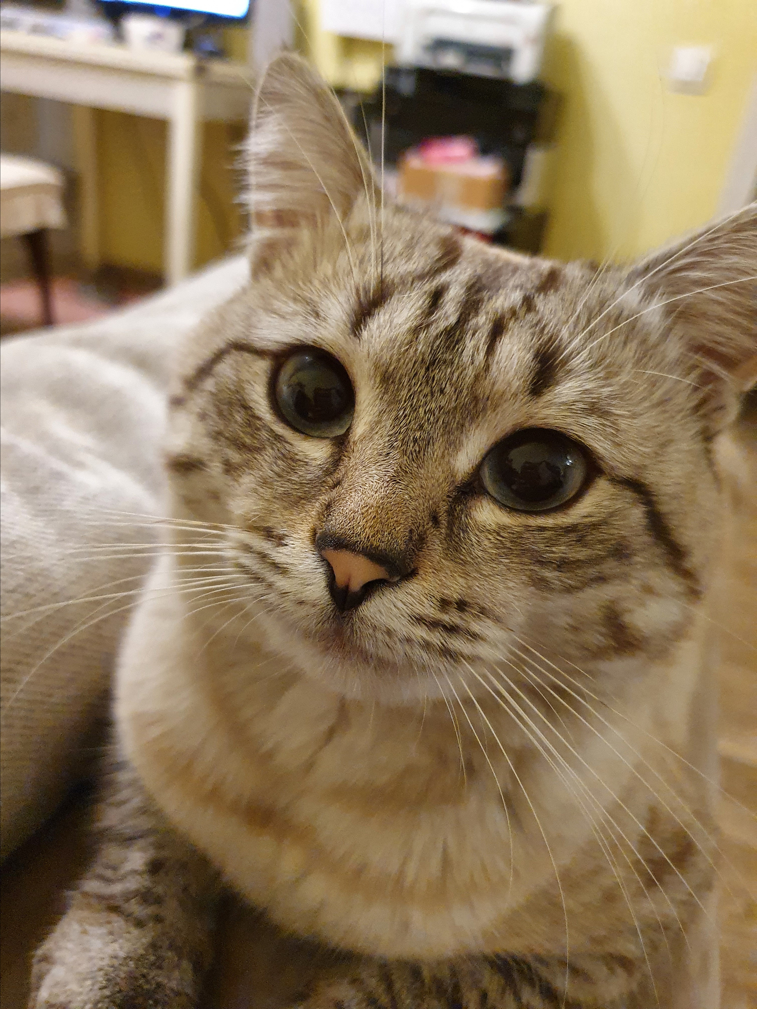 Отзывы. Фотограф Лазаревское. Индивидуальный и творческий фотограф, семейный и свадебный фотограф из Сочи