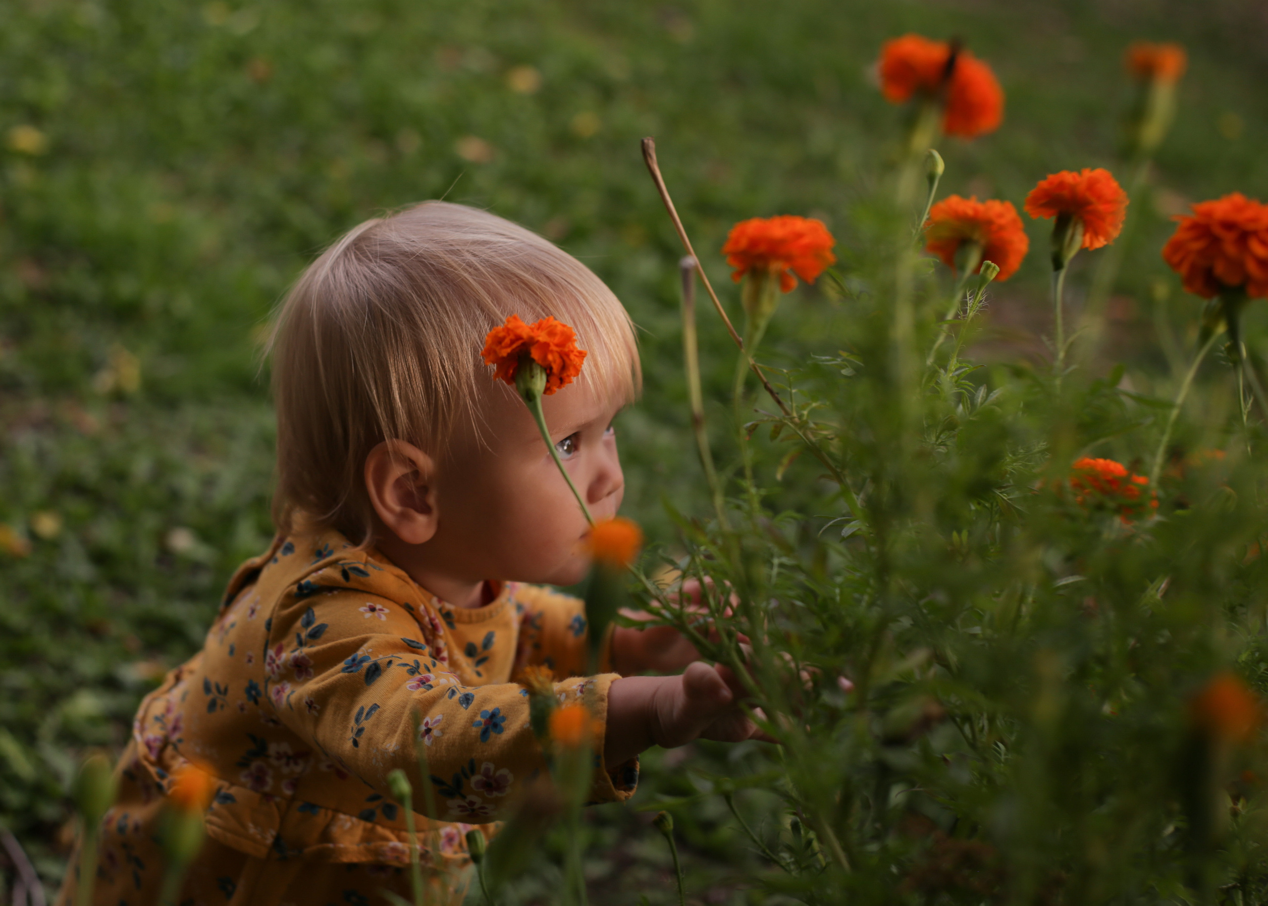 Семейная/Детская. Фотограф Лазаревское. Индивидуальный и творческий фотограф, семейный и свадебный фотограф из Сочи