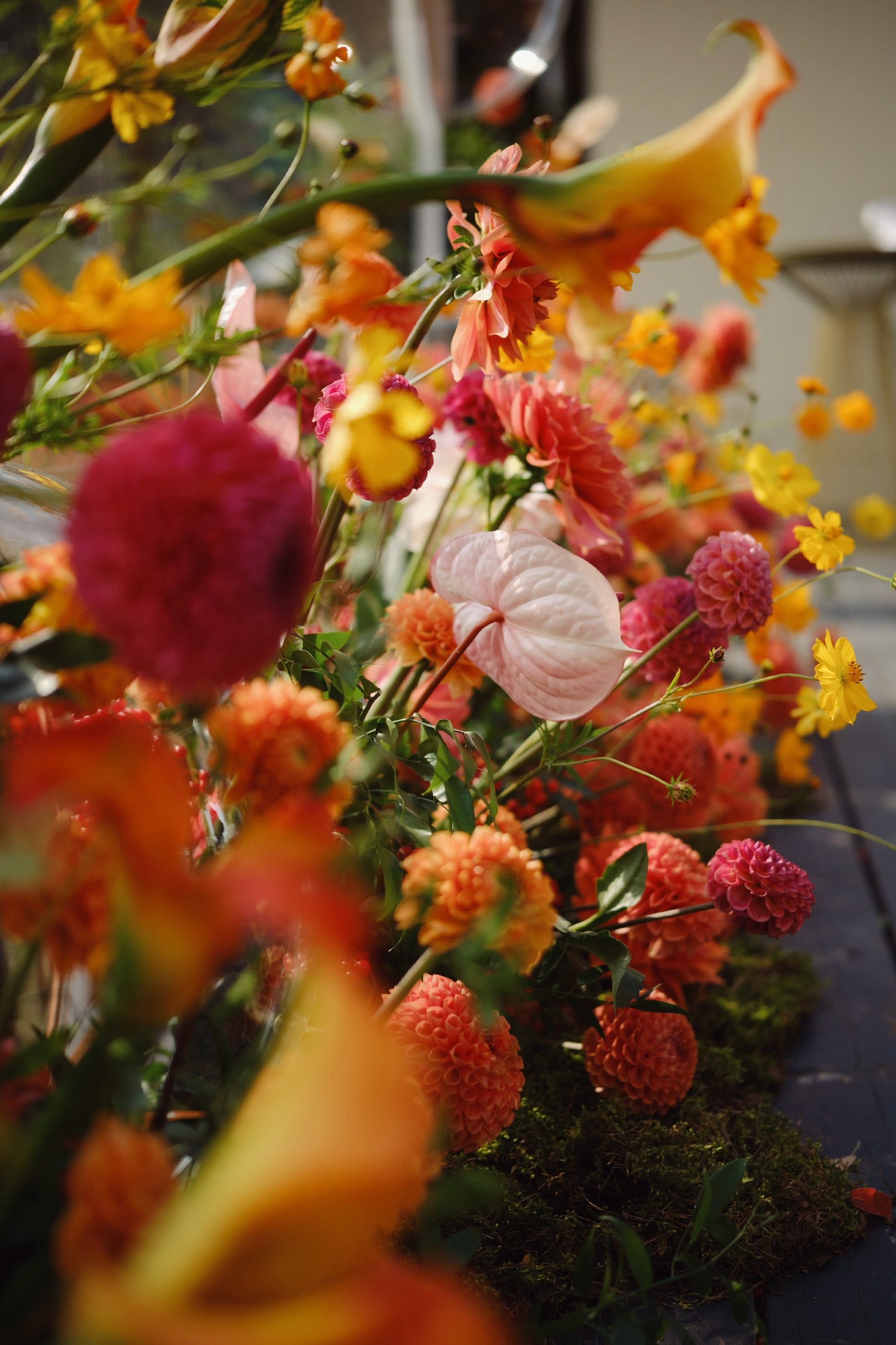 Виктор и Яна. Фотограф Елена Маринина Москва