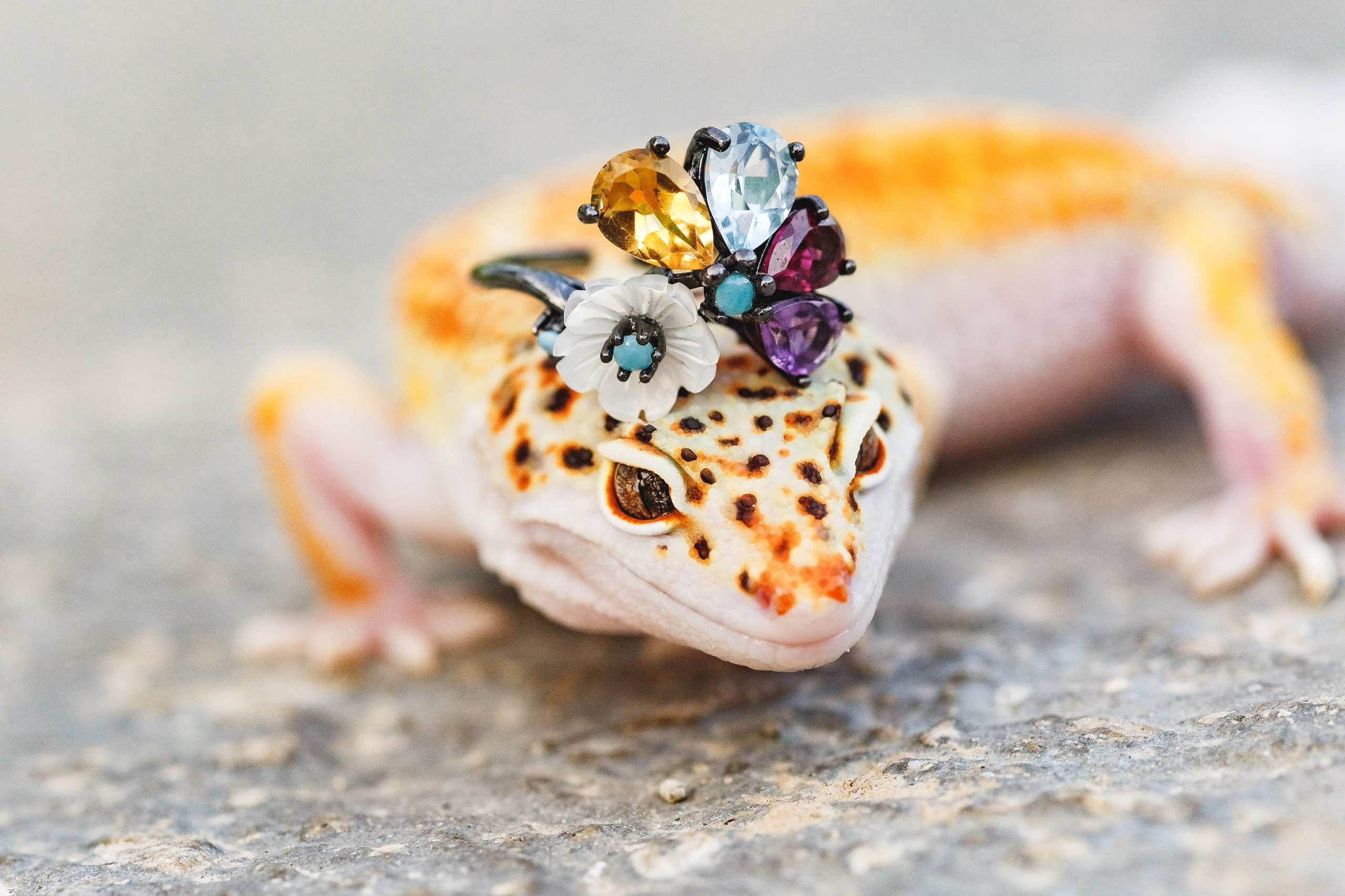 Королева драконов. Семейный фотограф в Екатеринбурге