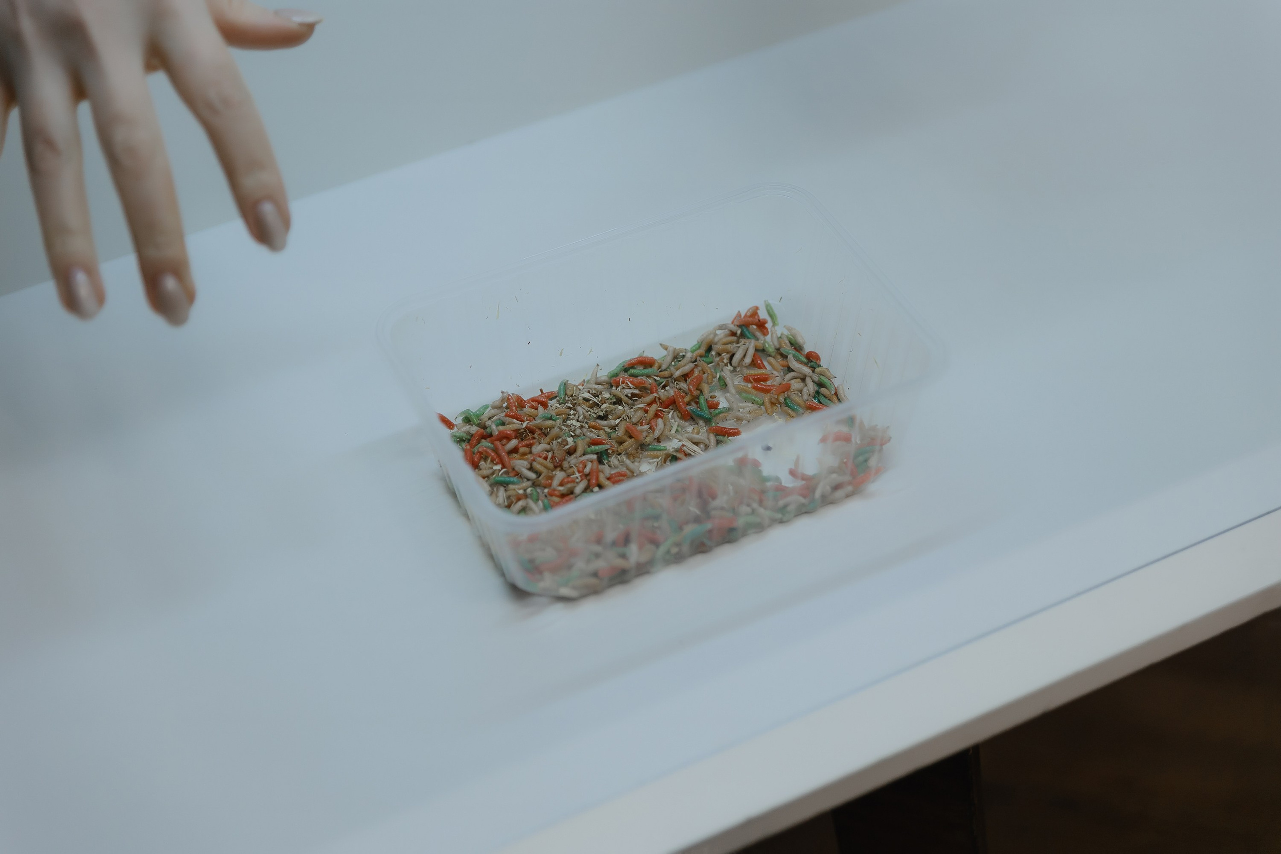 Открытие нового пространства интерьерного салона L. DECO в феврале 2025. L. Deco интерьерный салон. Краски/обои/лепной декор