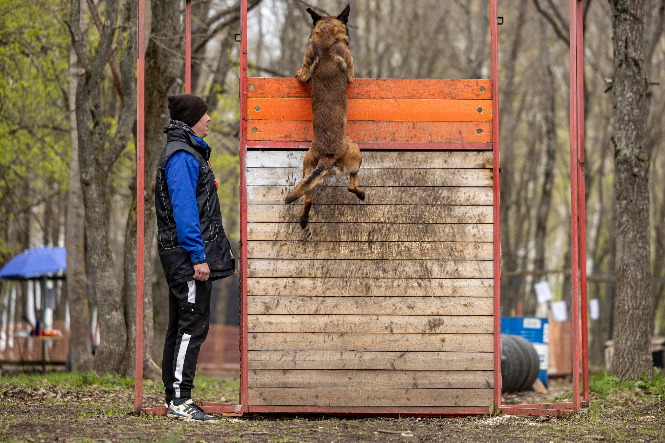 Квалификационные состязания по мондьорингу г. Вологда 11.05.24. Фотограф-анималист Анна Маринич