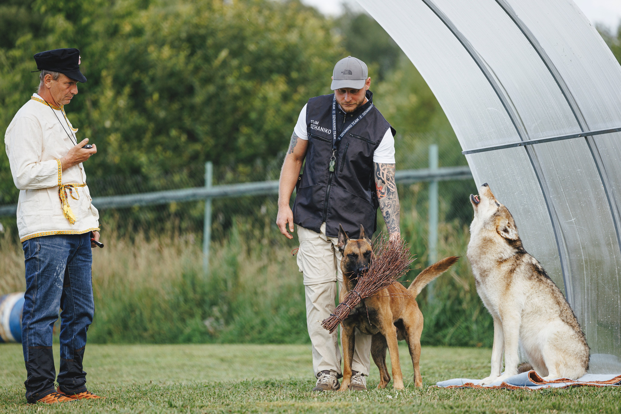 08.08.25-10.08.25 ЧР по мондьорингу г. Вологда. Фотограф-анималист Анна Маринич