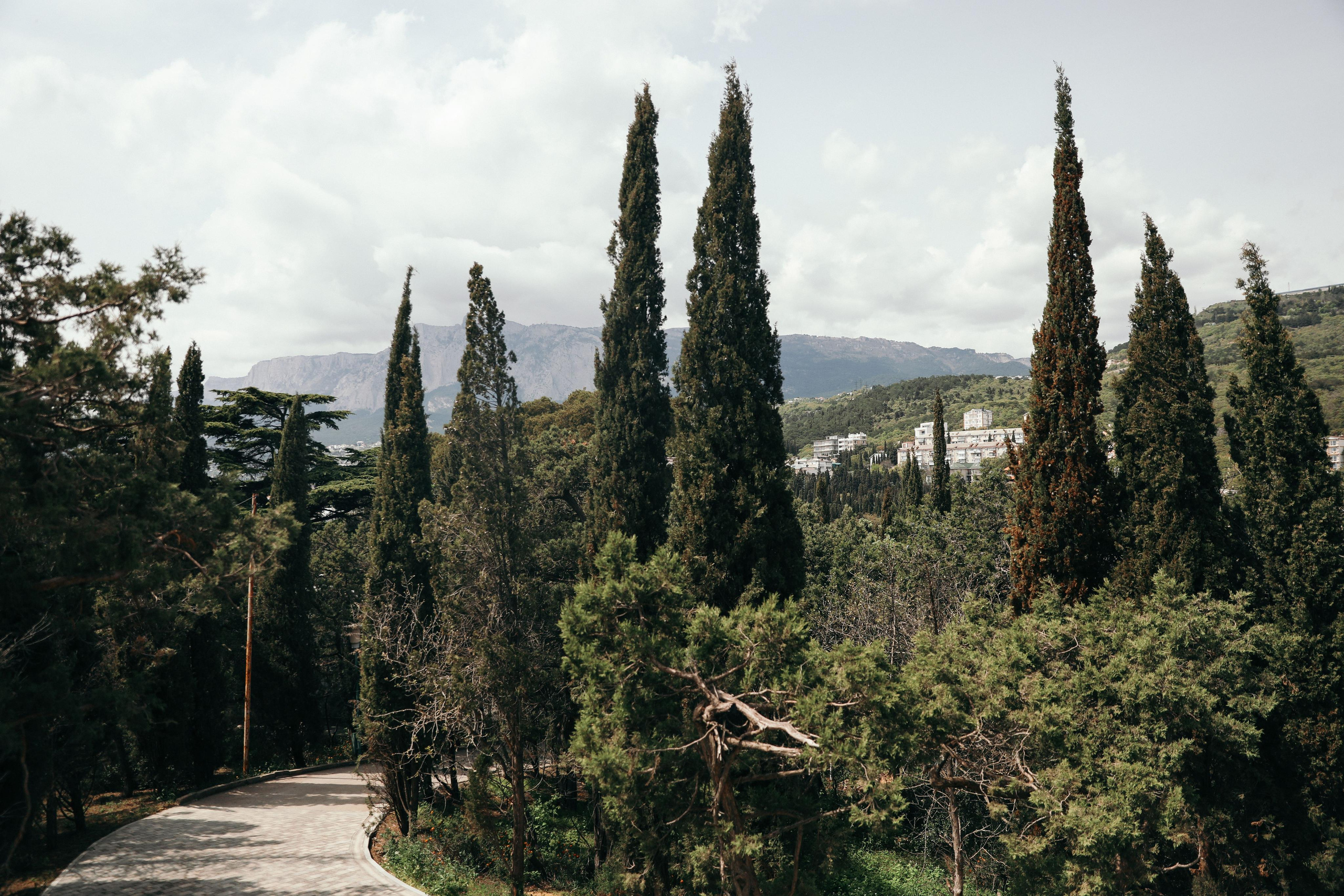 Евгений и Александра. Свадебный и семейный фотограф в Севастополе и Крыму Анастасия Сураева