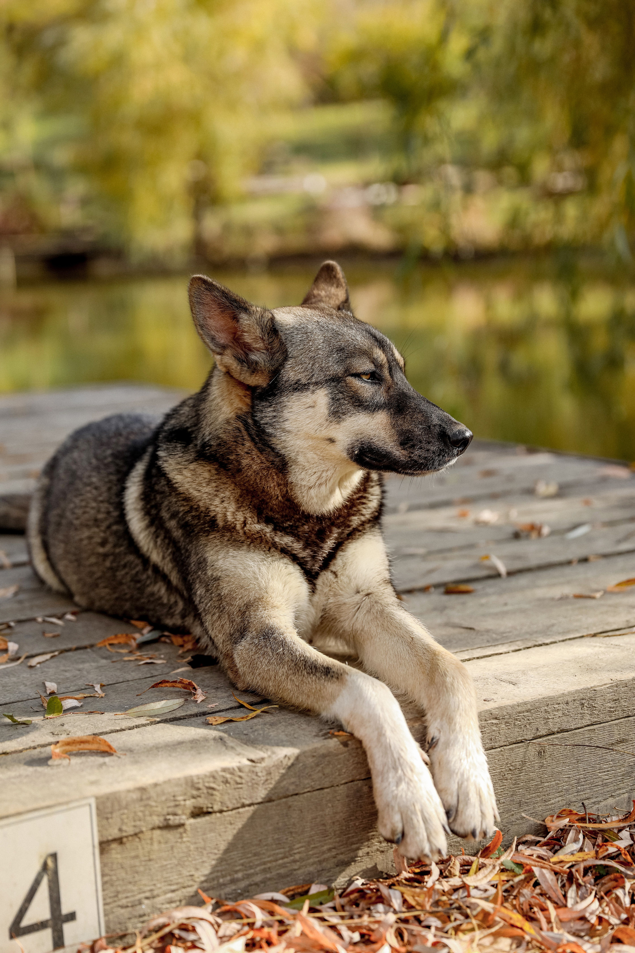 Love Story Ирина и Андрей. Свадебный и семейный фотограф в Севастополе и Крыму Анастасия Сураева