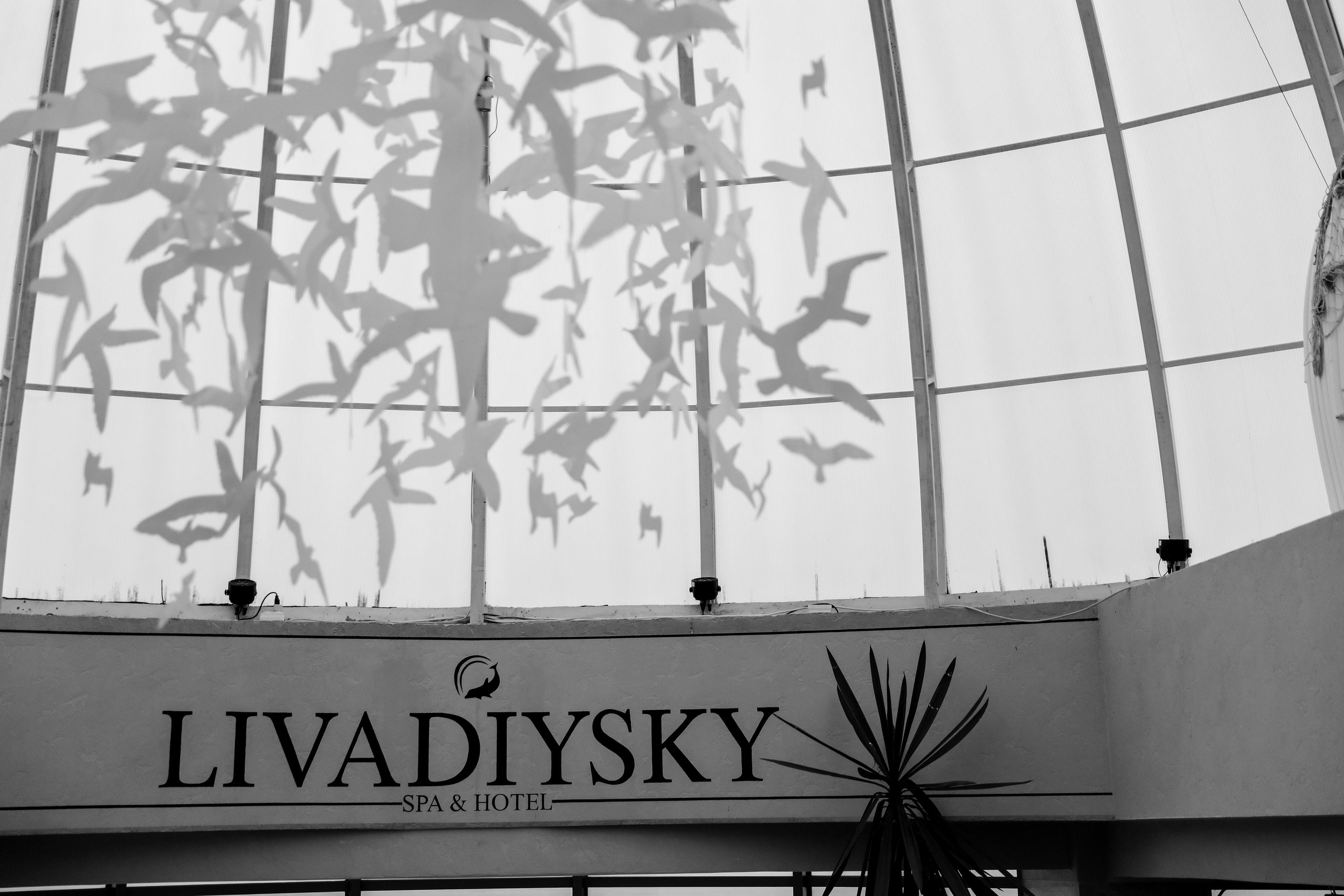 Евгений и Александра. Свадебный и семейный фотограф в Севастополе и Крыму Анастасия Сураева