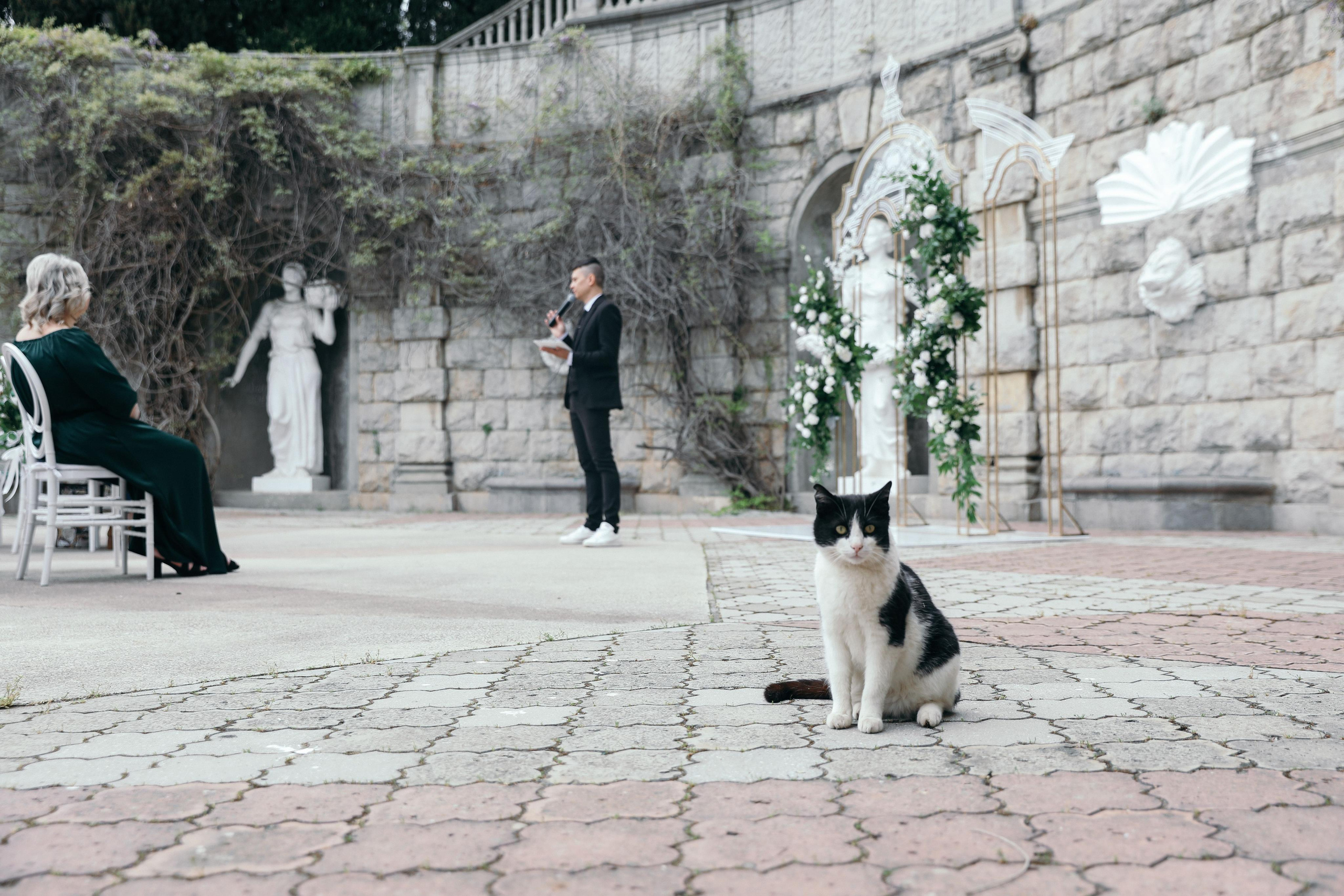 Евгений и Александра. Свадебный и семейный фотограф в Севастополе и Крыму Анастасия Сураева