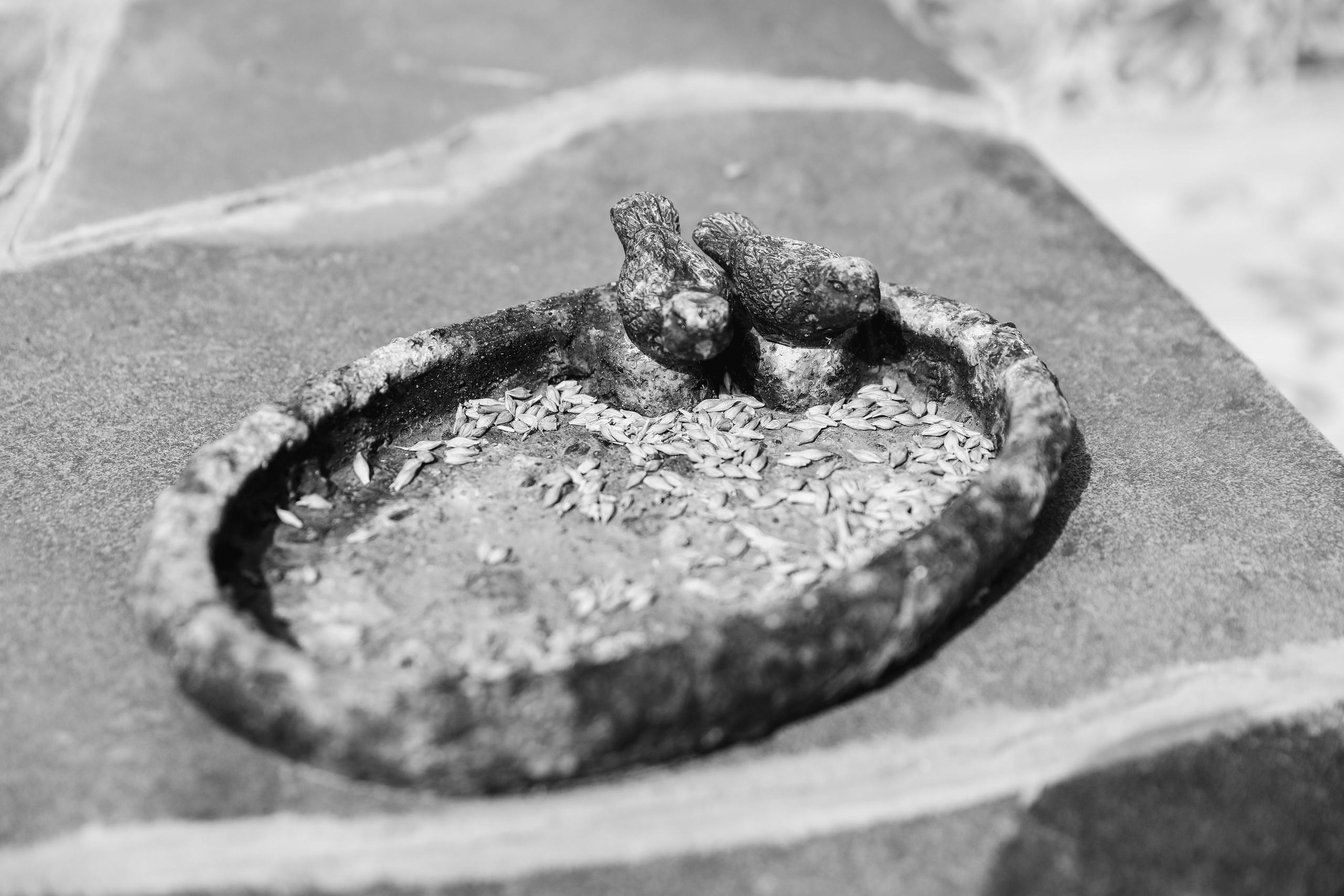 Евгений и Ксения. Свадебный и семейный фотограф в Севастополе и Крыму Анастасия Сураева