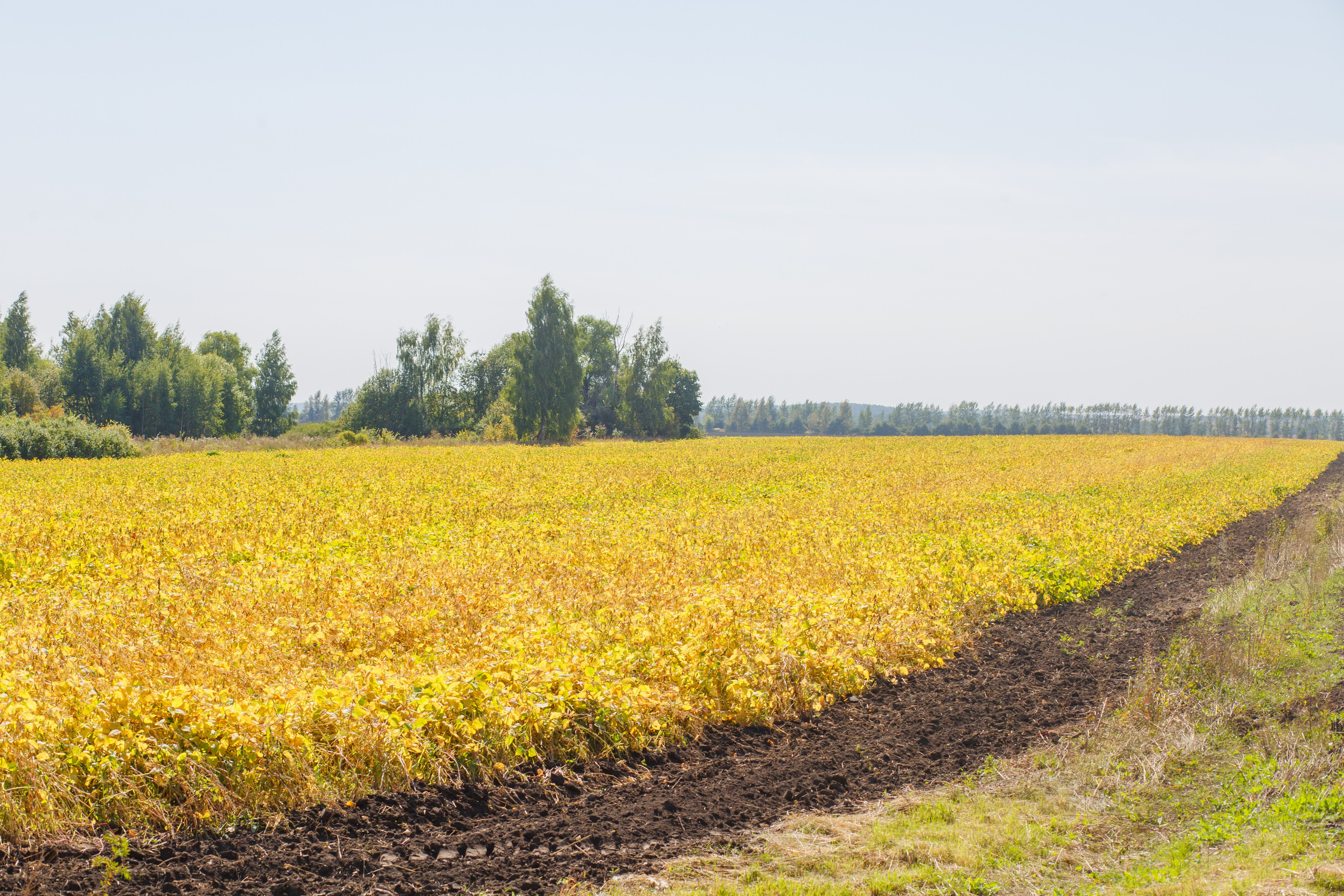Агротерра. Фотограф Яков Поспехов