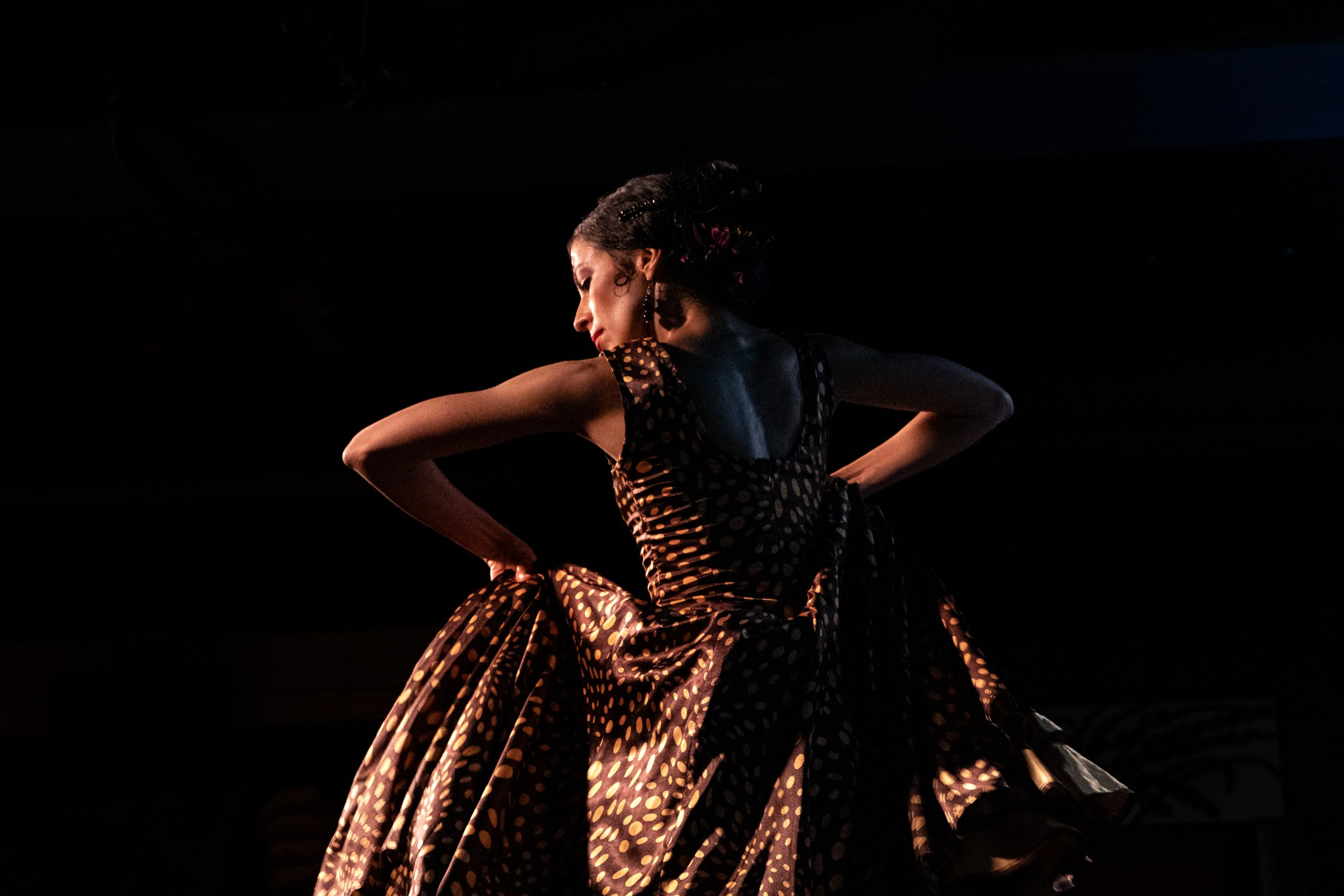 Flamenco 02.11.2023. Индивидуальные съемки, портретный фотограф