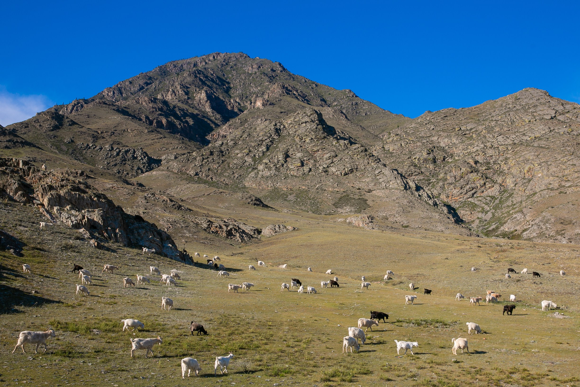 Алтай. Репортажный фотограф в Москве Зуйко Оксана