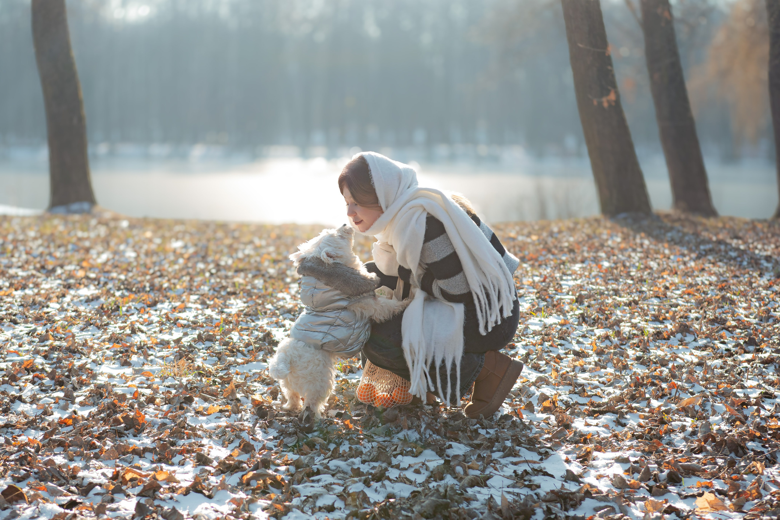 Фотосессия с собакой в парке зимой  Минск