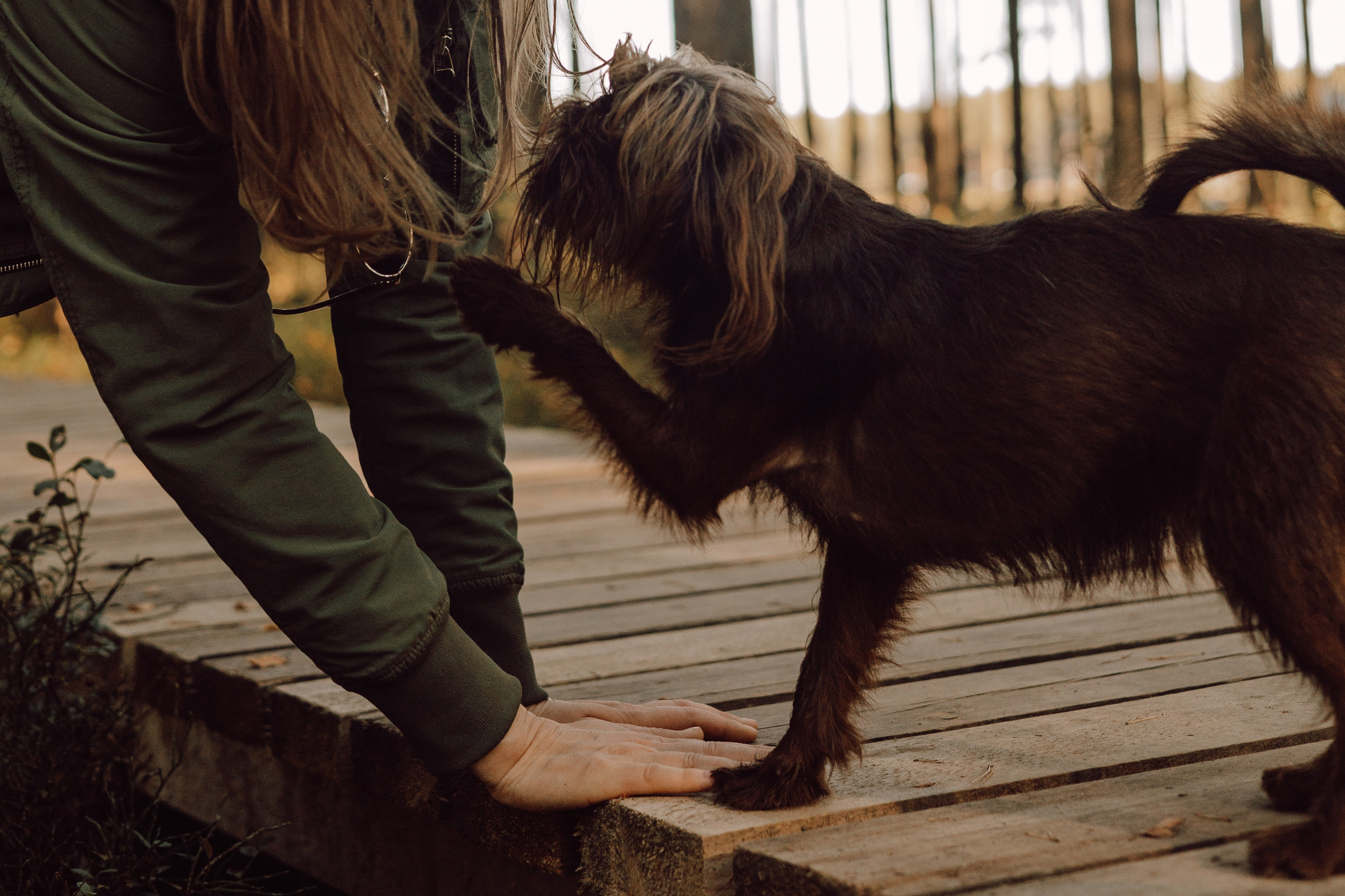 Катерина & Лунка. Фотограф — анималист •love-story•|Санкт-Петербург