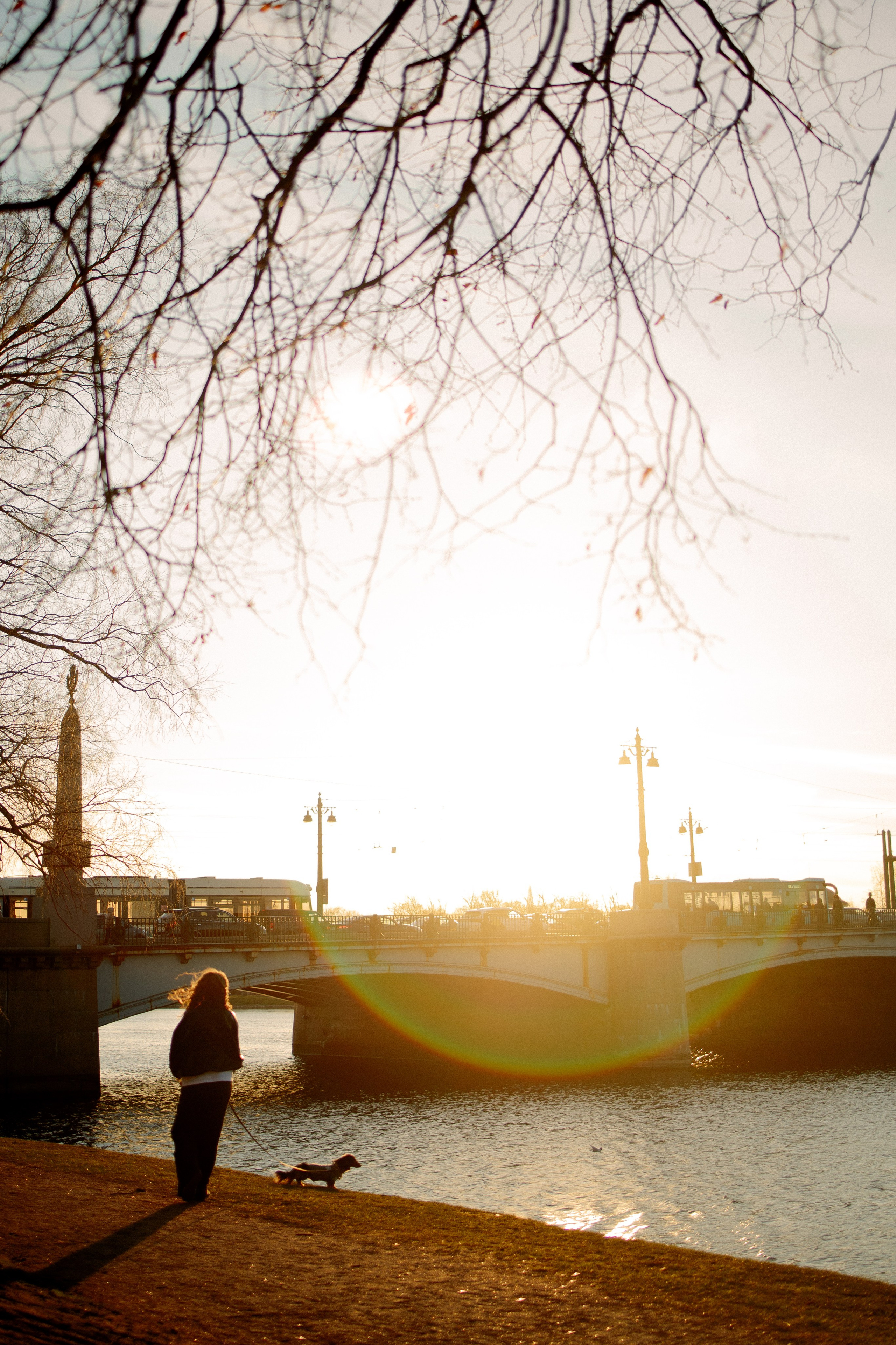 Одна прогулка из жизни Бимы. Семейный фотограф Питер •love-story•|Санкт-Петербург