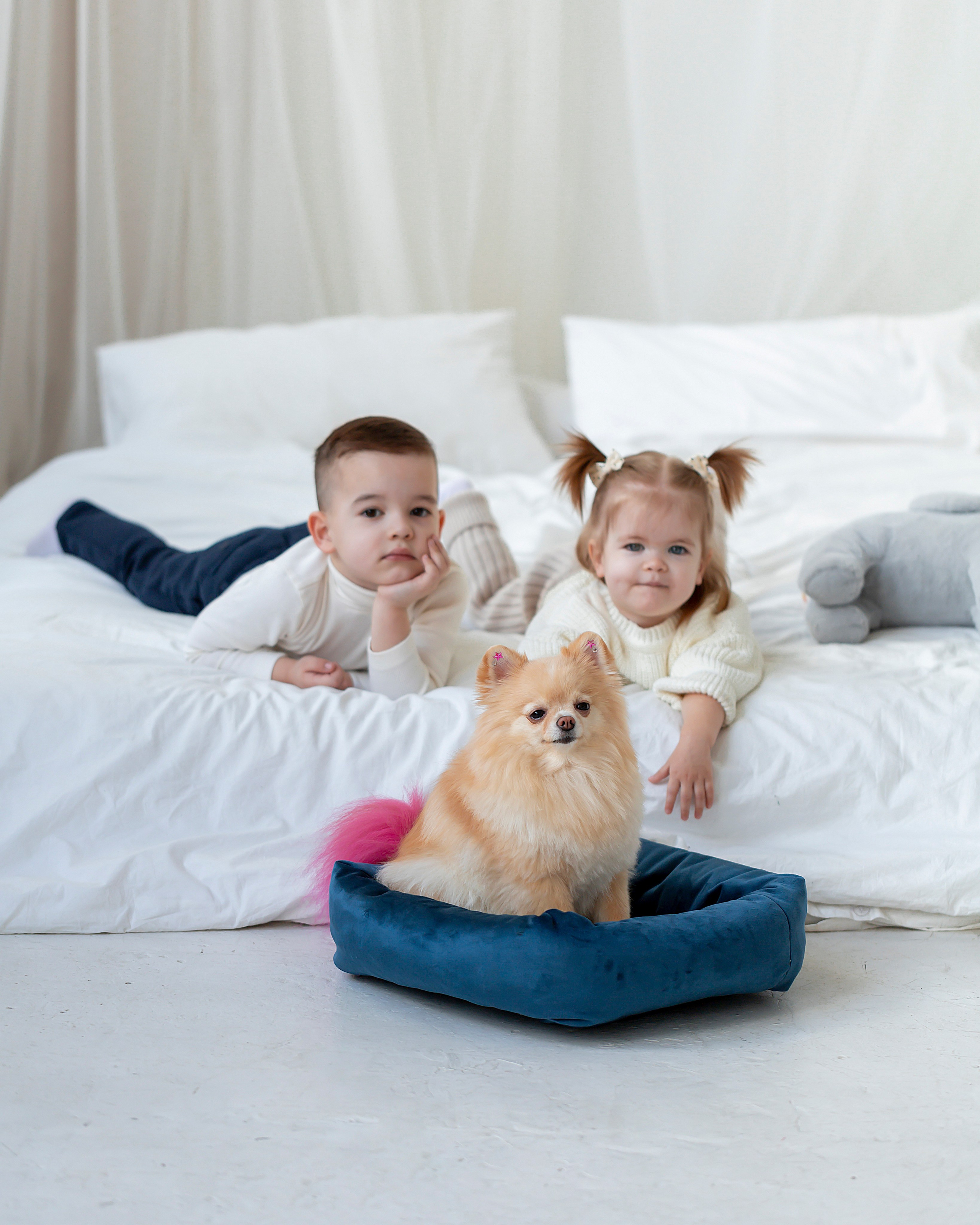 Лежанки для животных. Предметный & фудфотограф Рязань