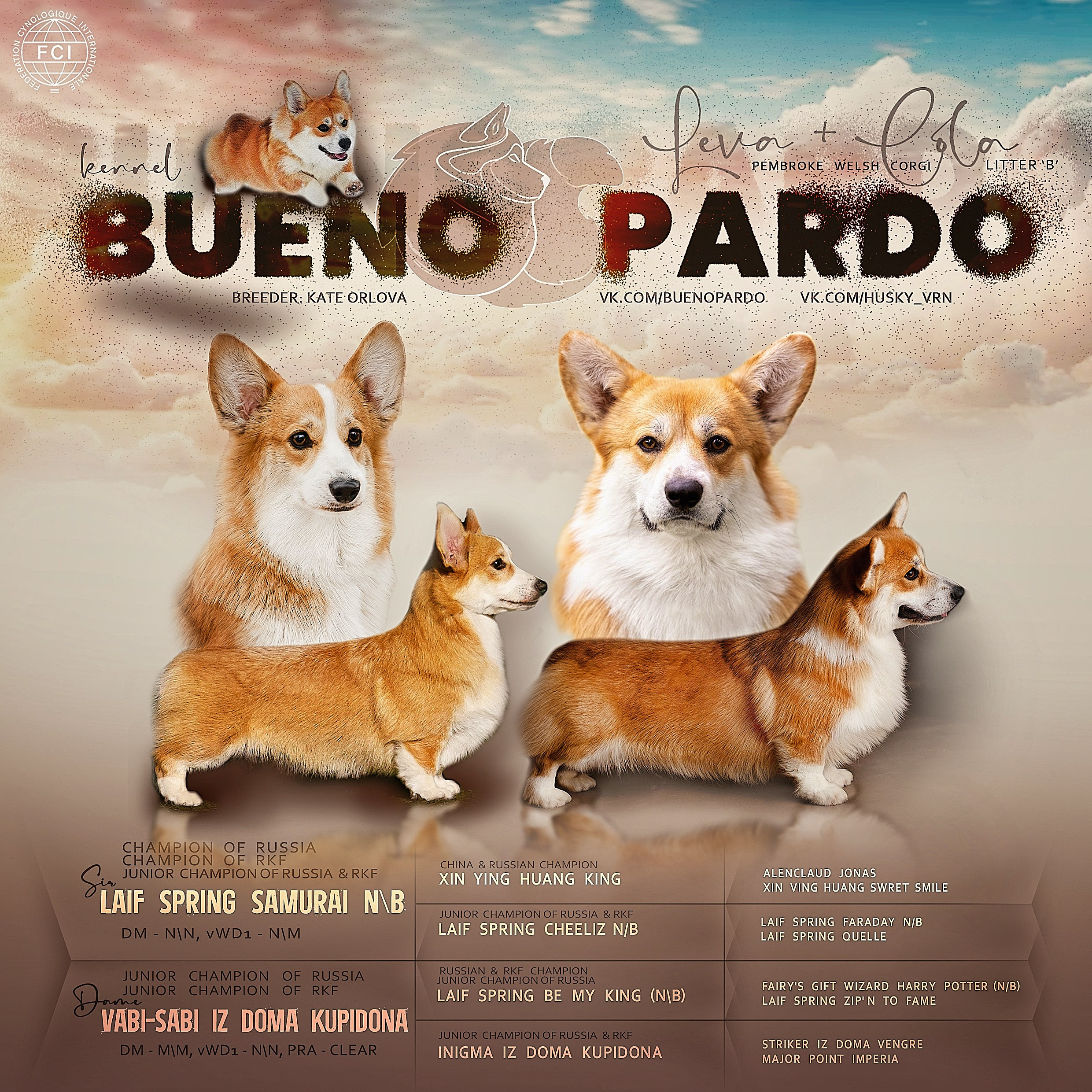 Щенки вельш корги пемброк из питомника. Питомник собак Акита, Хаски, Корги