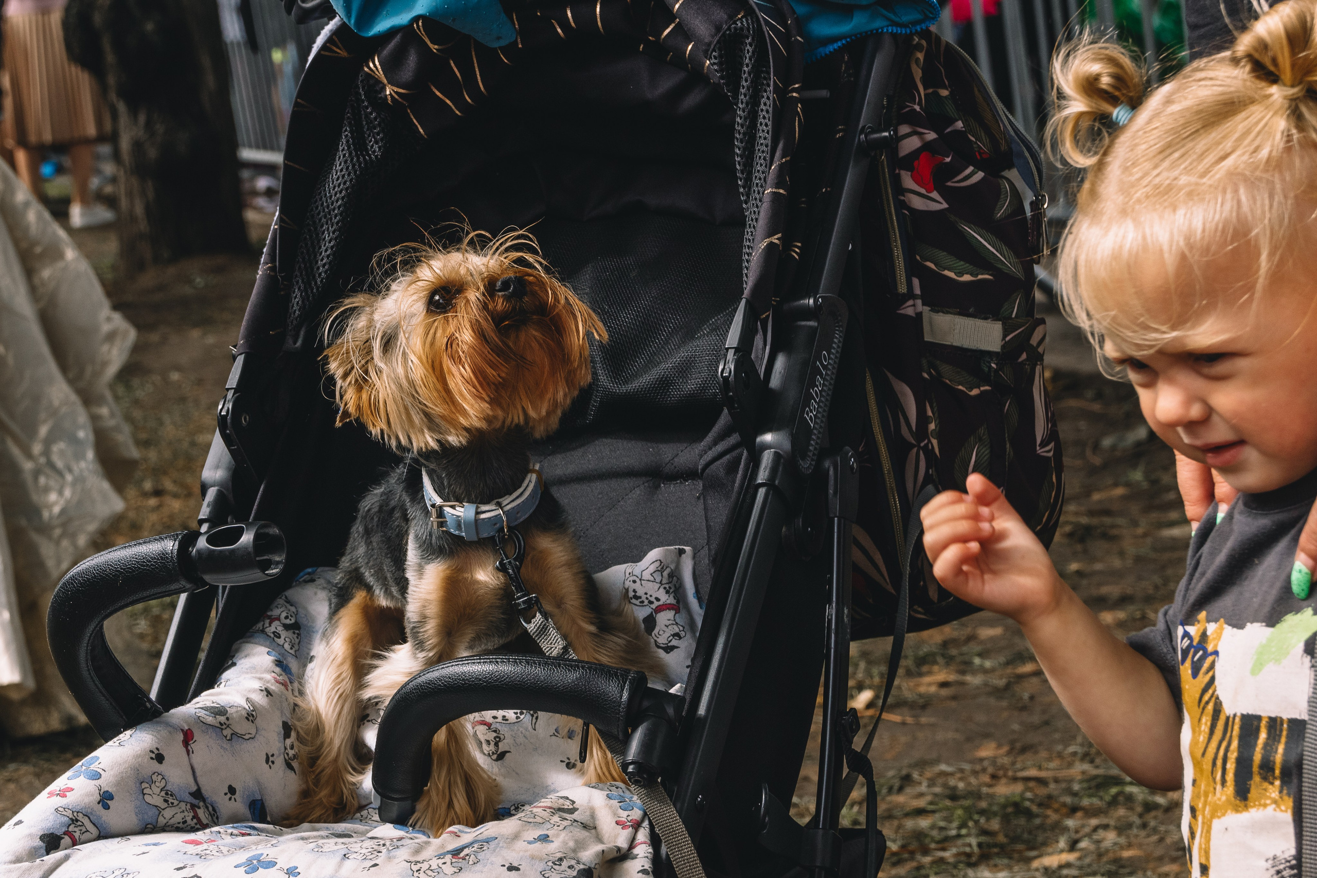 Фонтанка SUP 2 августа 2025 года. Семейный, Детский, Репортажный фотограф в Санкт-Петербурге Погодина Лю