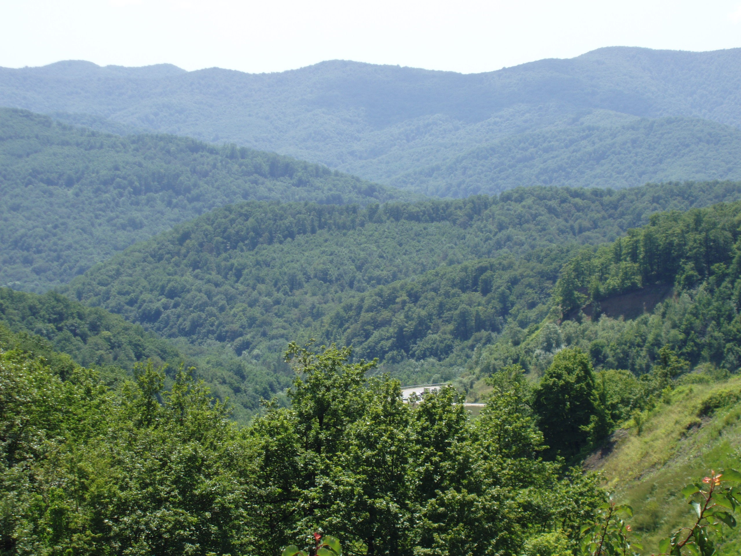Отпуск 12.06-18.08. Семейный, Свадебный фотограф СПБ Питер— Романова Екатерина