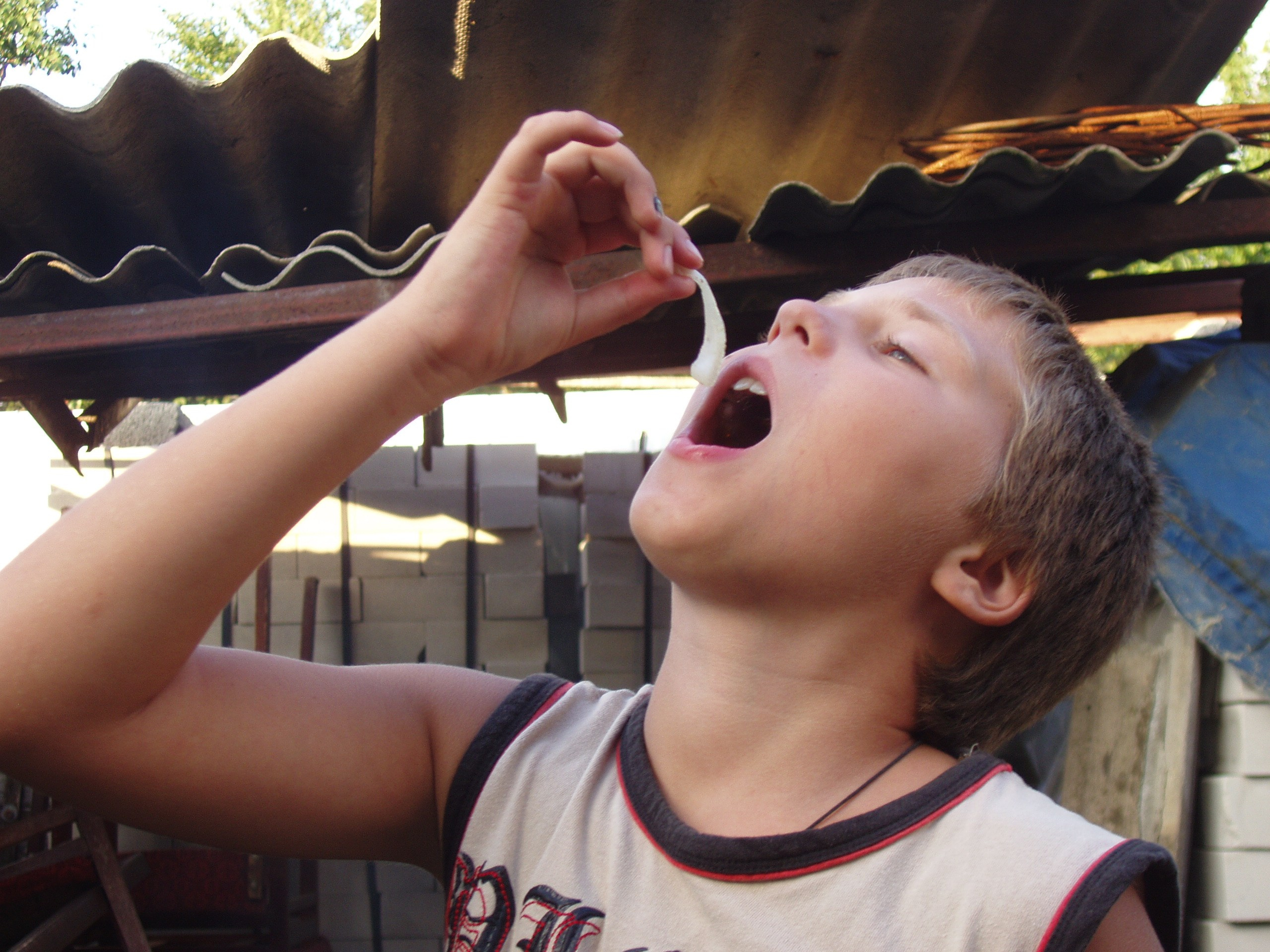 Отпуск 12.06-18.08. Семейный, Свадебный фотограф СПБ Питер— Романова Екатерина